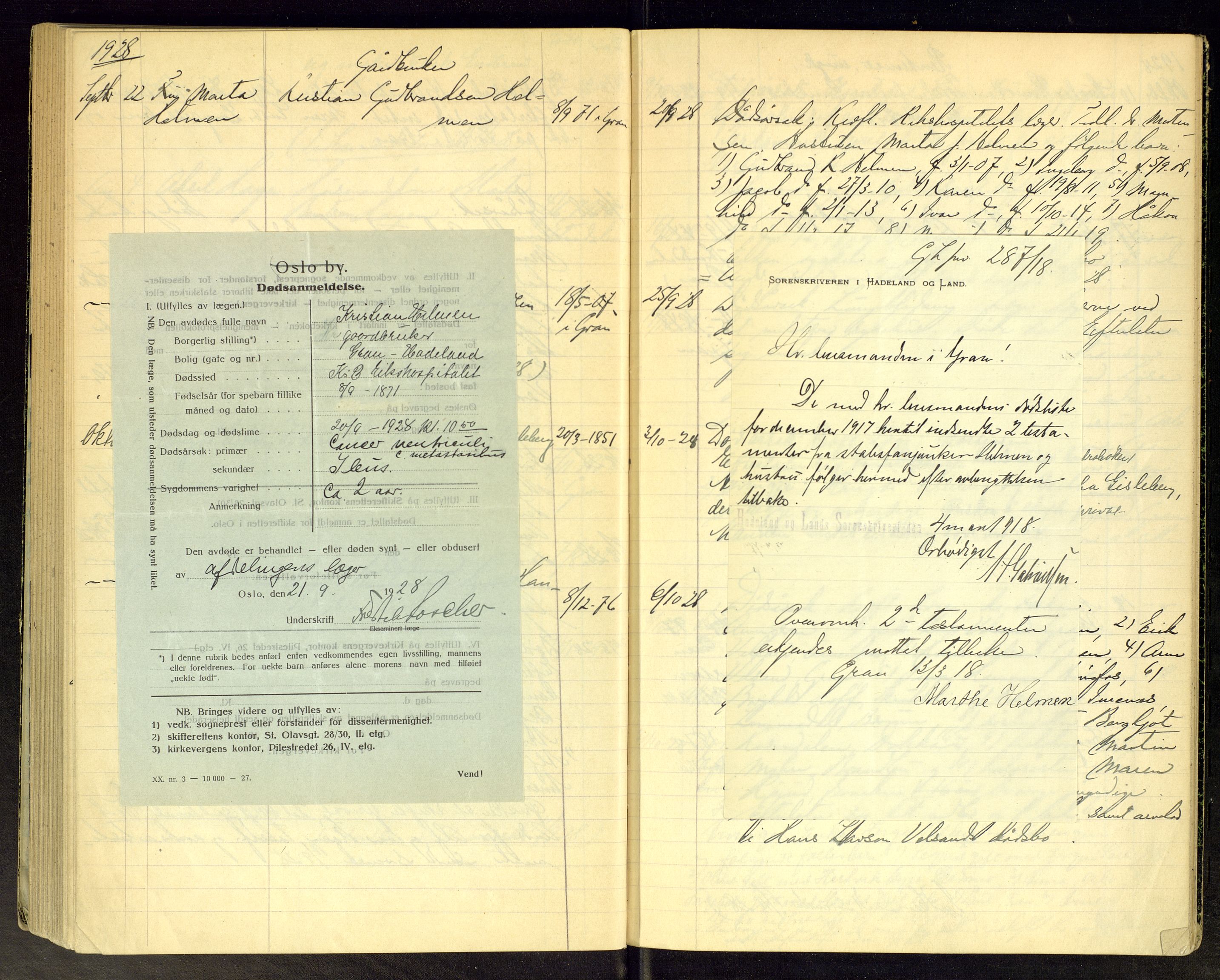 Gran lensmannskontor, AV/SAH-LOG-010/H/Ha/L0003: Dødsfallsprotokoll, 1917-1930