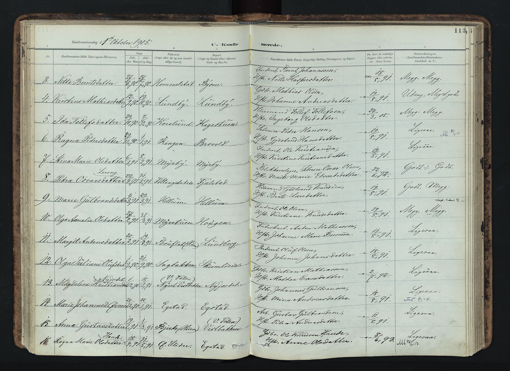 Vardal prestekontor, SAH/PREST-100/H/Ha/Haa/L0019: Parish register (official) no. 19, 1893-1907, p. 113
