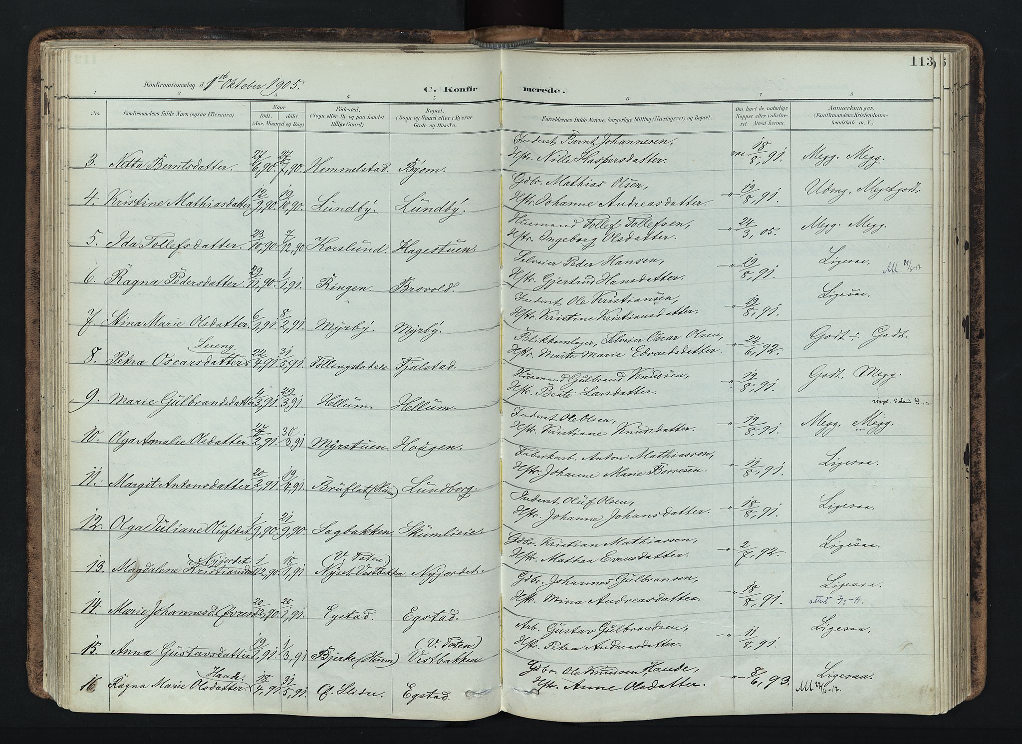 Vardal prestekontor, AV/SAH-PREST-100/H/Ha/Haa/L0019: Parish register (official) no. 19, 1893-1907, p. 113