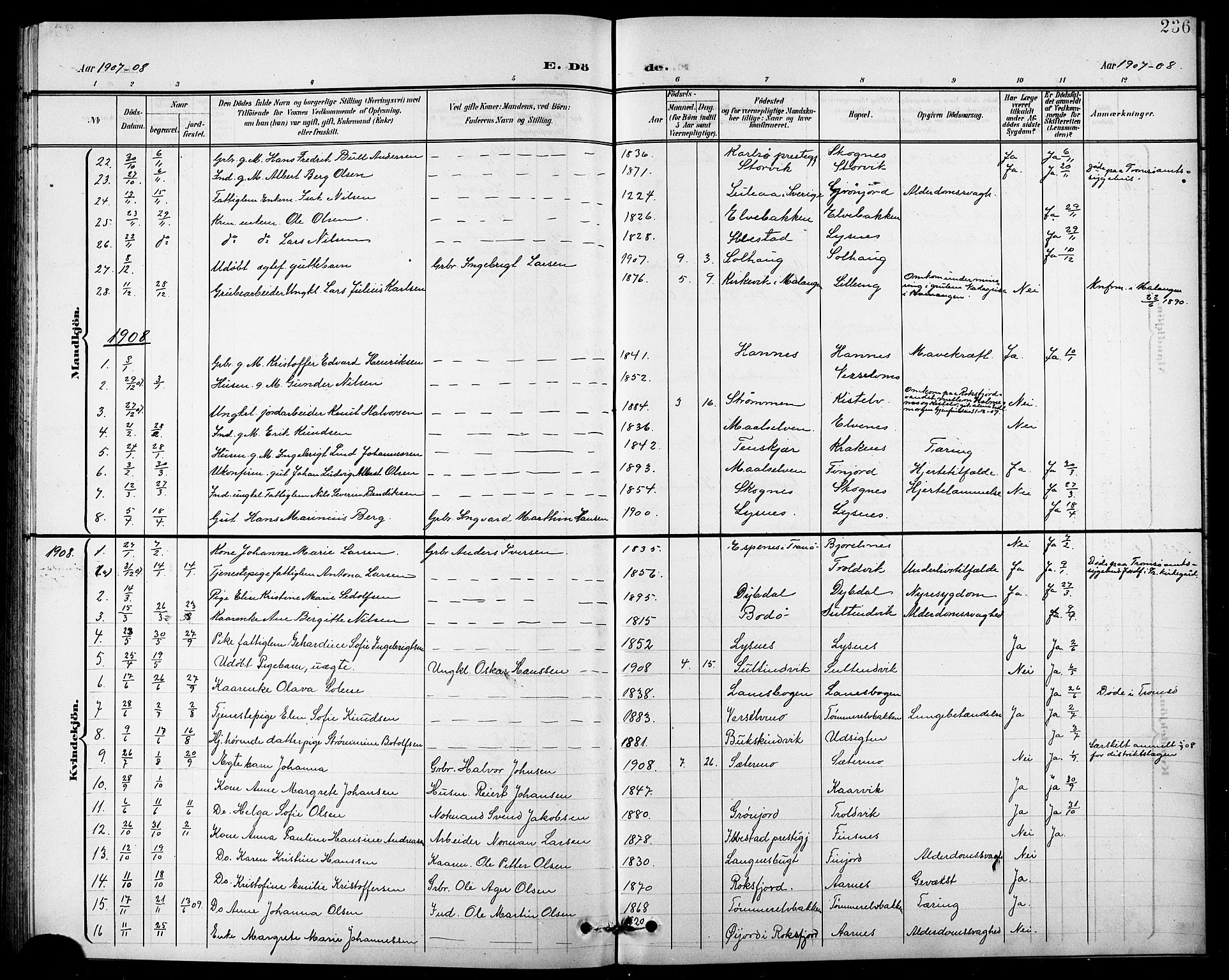 Lenvik sokneprestembete, SATØ/S-1310/H/Ha/Hab/L0008klokker: Parish register (copy) no. 8, 1899-1911, p. 236