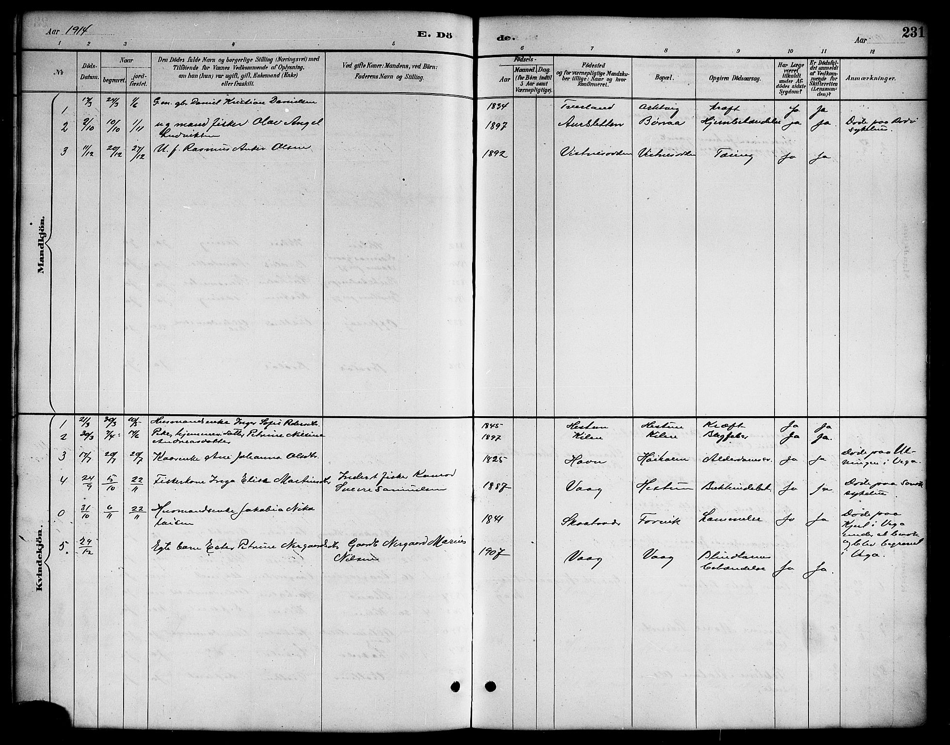 Ministerialprotokoller, klokkerbøker og fødselsregistre - Nordland, SAT/A-1459/819/L0277: Parish register (copy) no. 819C03, 1888-1917, p. 231