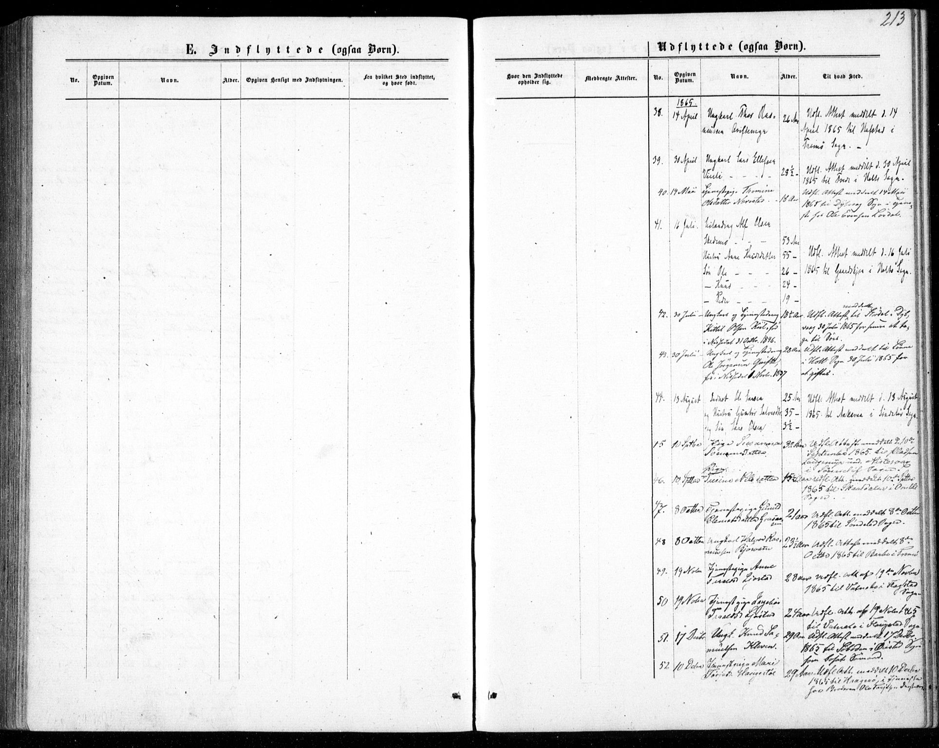 Gjerstad sokneprestkontor, AV/SAK-1111-0014/F/Fb/Fbb/L0003: Parish register (copy) no. B 3, 1862-1889, p. 213