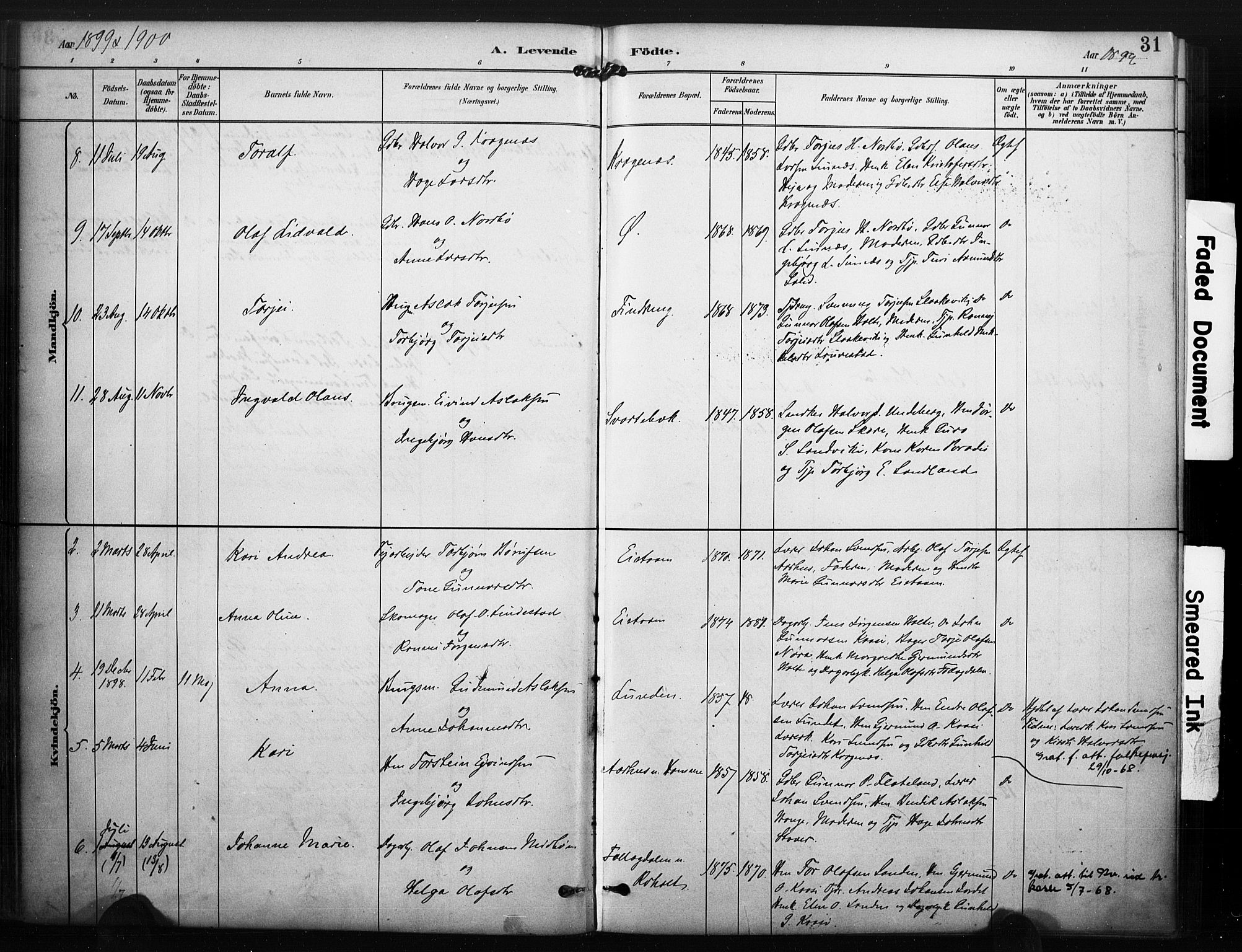 Kviteseid kirkebøker, SAKO/A-276/F/Fc/L0002: Parish register (official) no. III 2, 1882-1908, p. 31