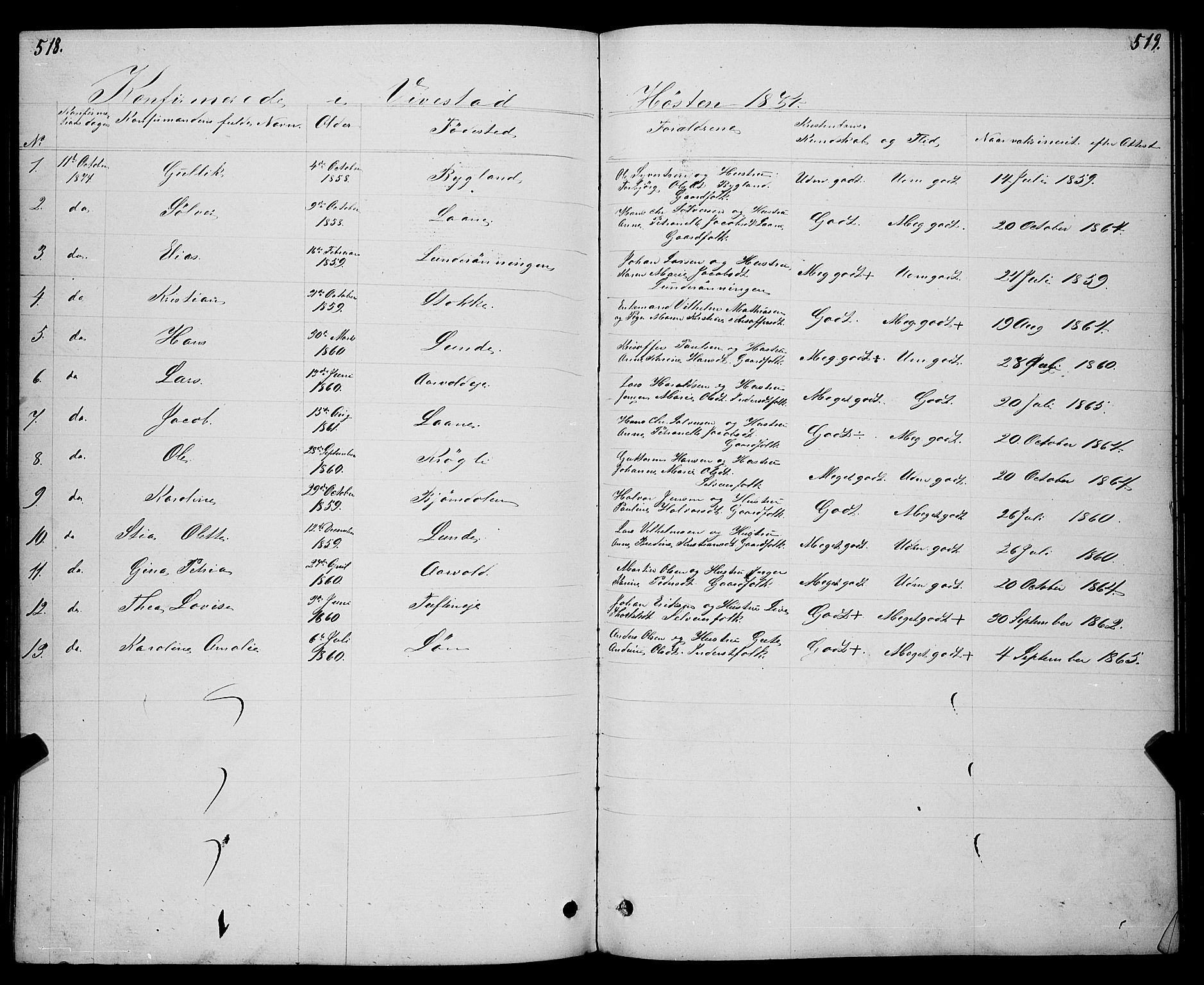 Ramnes kirkebøker, AV/SAKO-A-314/G/Gc/L0001: Parish register (copy) no. III 1, 1869-1903, p. 518-519