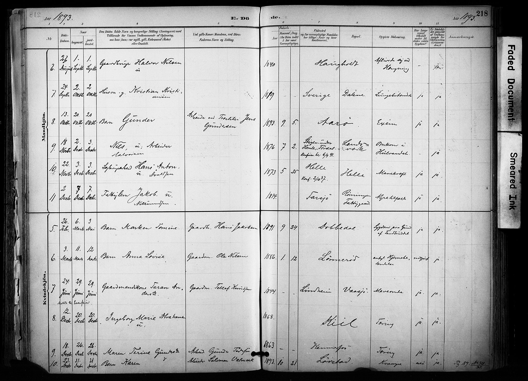 Sannidal kirkebøker, AV/SAKO-A-296/F/Fa/L0015: Parish register (official) no. 15, 1884-1899, p. 218