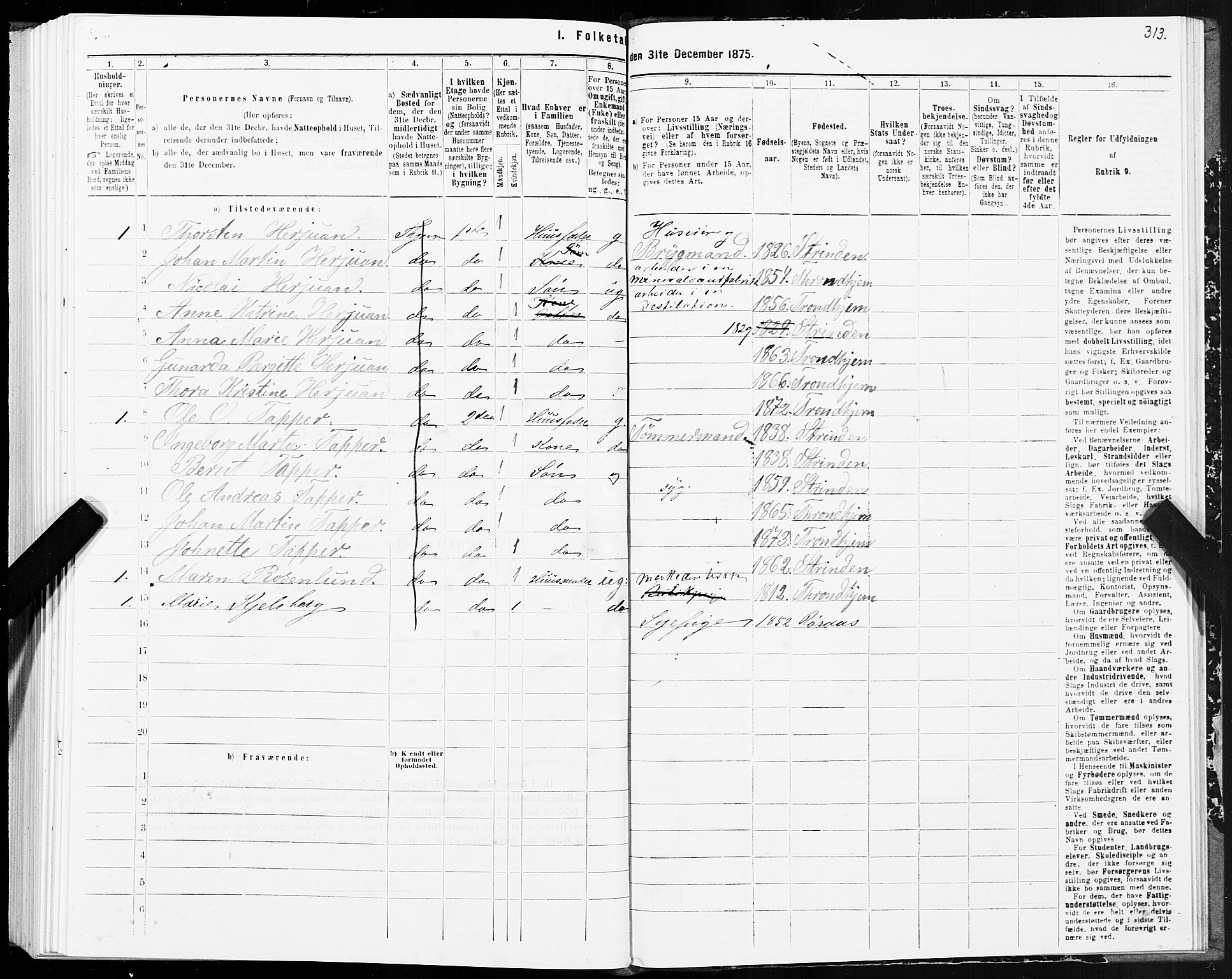 SAT, 1875 census for 1601 Trondheim, 1875, p. 2313