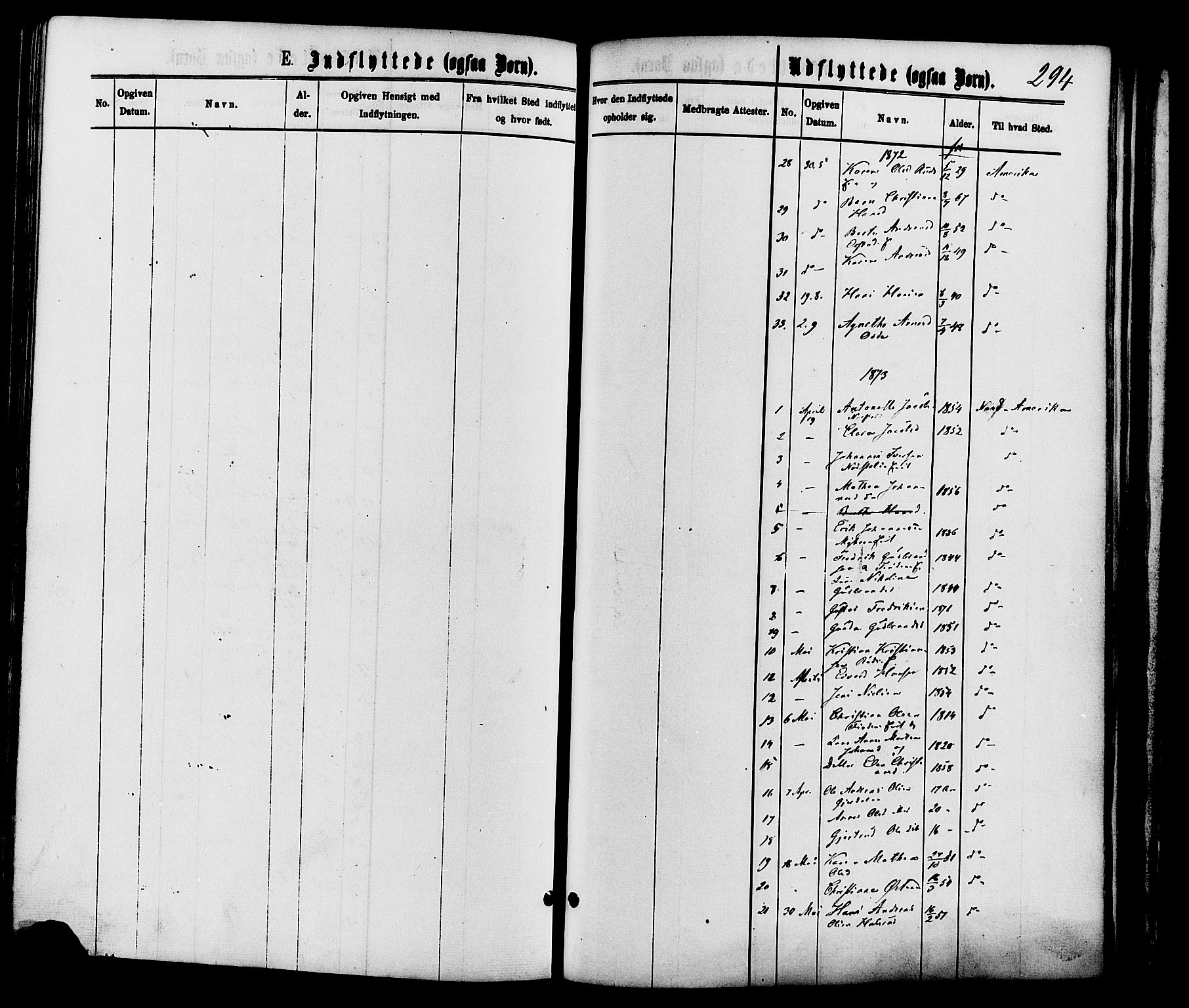 Nordre Land prestekontor, SAH/PREST-124/H/Ha/Haa/L0002: Parish register (official) no. 2, 1872-1881, p. 294