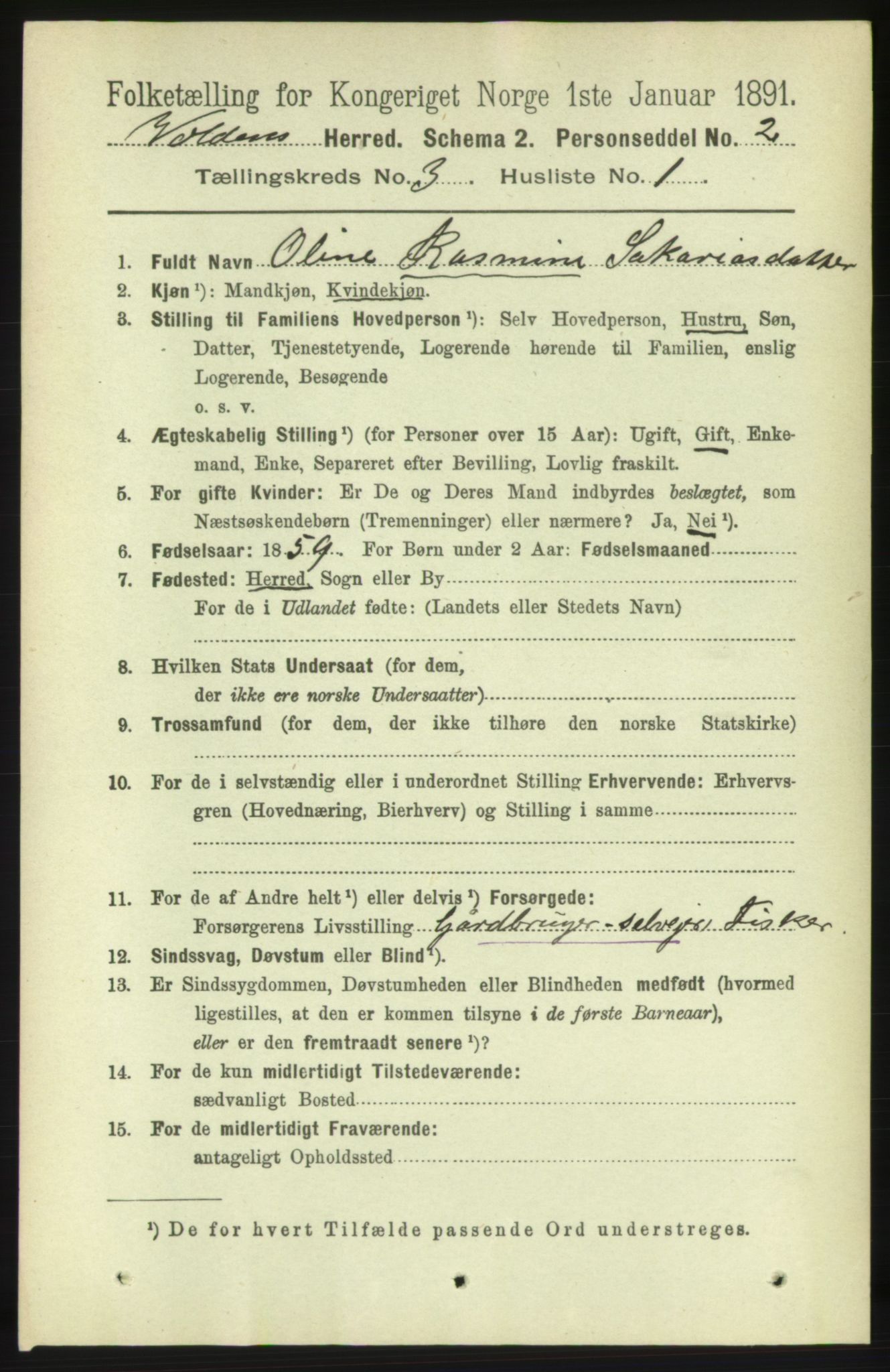 RA, 1891 census for 1519 Volda, 1891, p. 1656