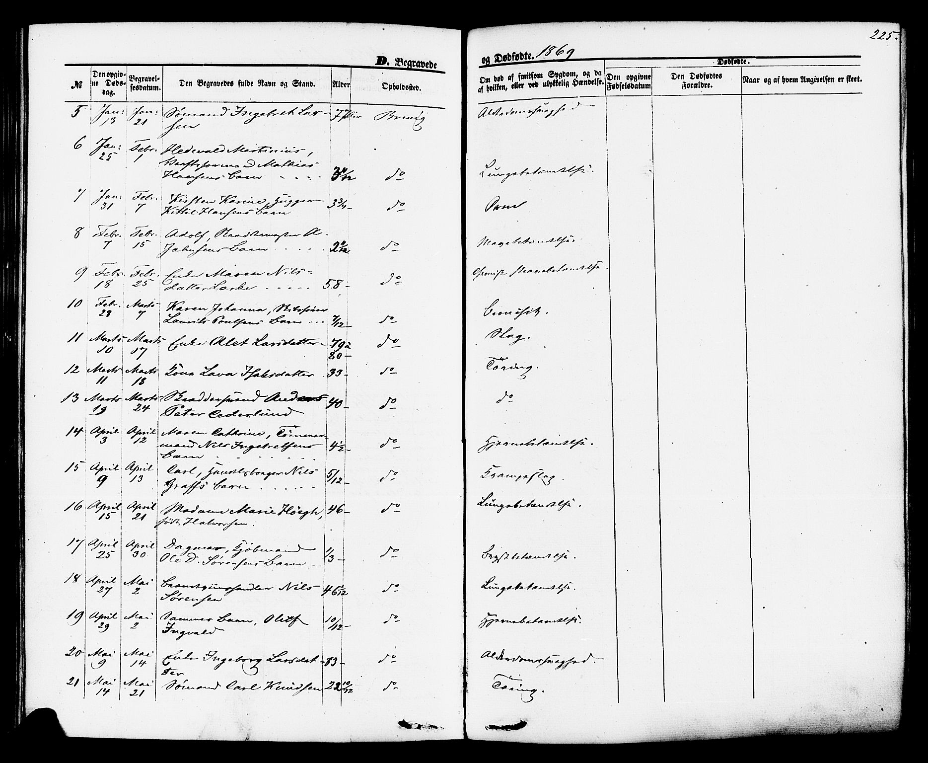 Brevik kirkebøker, SAKO/A-255/F/Fa/L0006: Parish register (official) no. 6, 1866-1881, p. 225