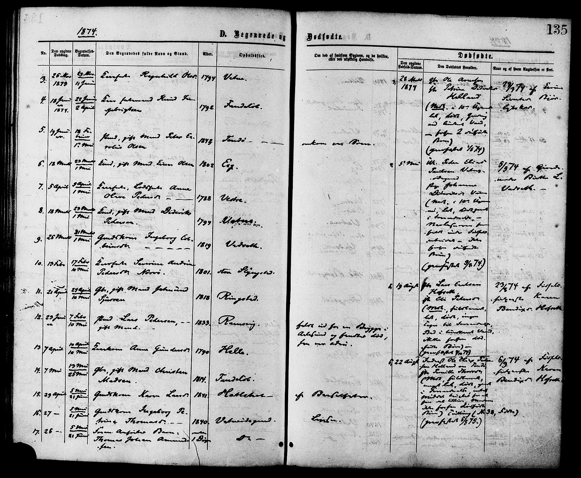 Ministerialprotokoller, klokkerbøker og fødselsregistre - Møre og Romsdal, AV/SAT-A-1454/525/L0373: Parish register (official) no. 525A03, 1864-1879, p. 135