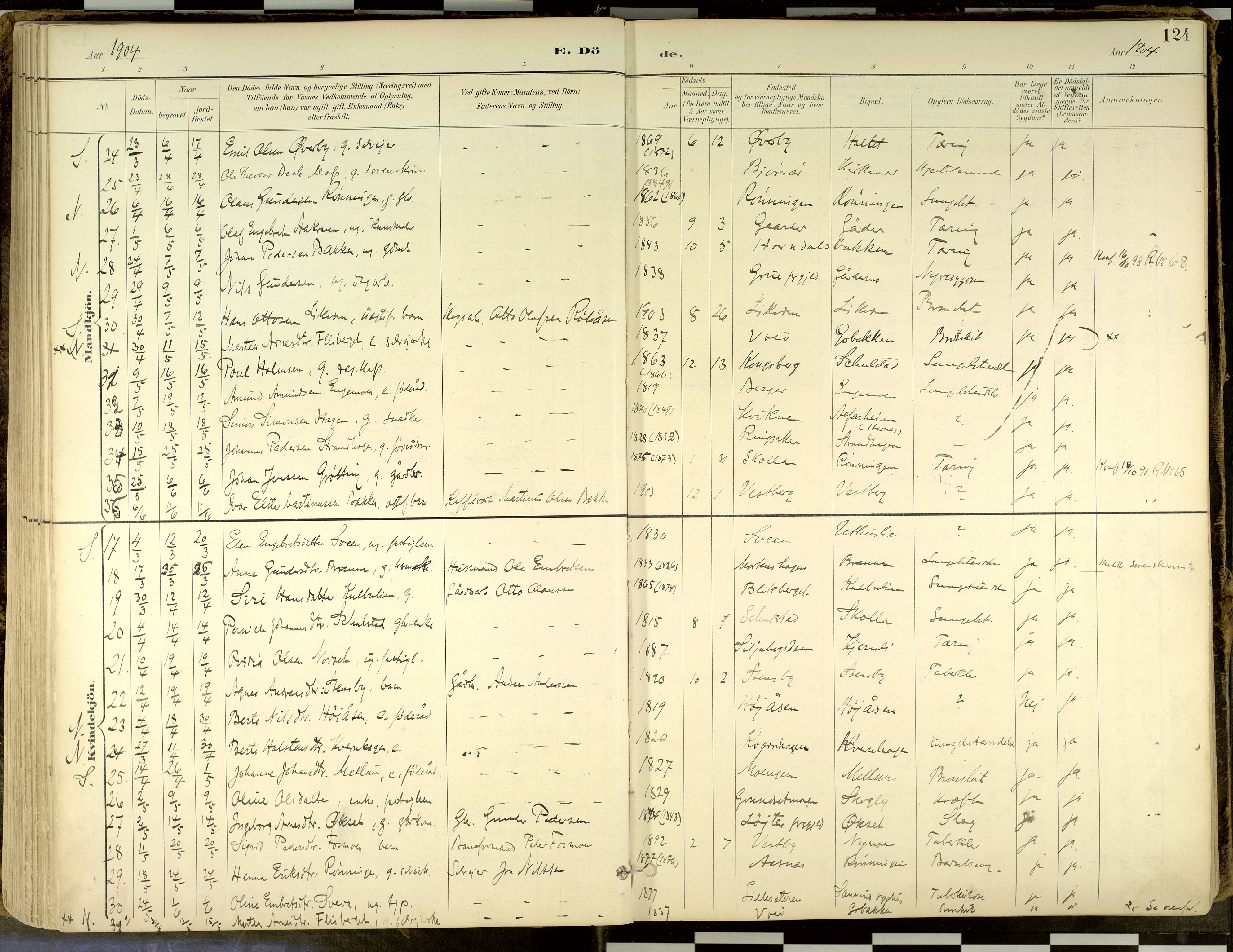 Elverum prestekontor, AV/SAH-PREST-044/H/Ha/Haa/L0018: Parish register (official) no. 18, 1894-1914, p. 124