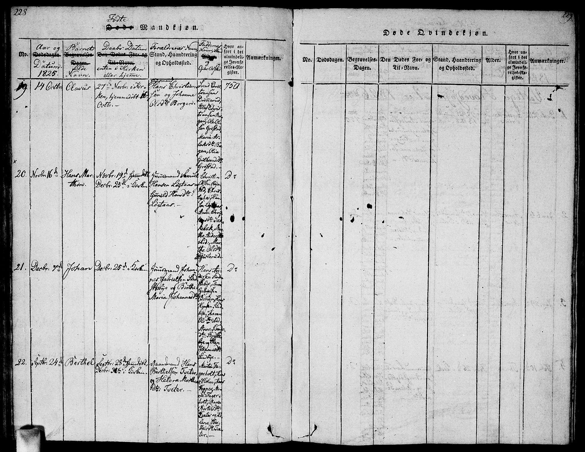 Vestby prestekontor Kirkebøker, AV/SAO-A-10893/G/Ga/L0001: Parish register (copy) no. I 1, 1814-1827, p. 228-229