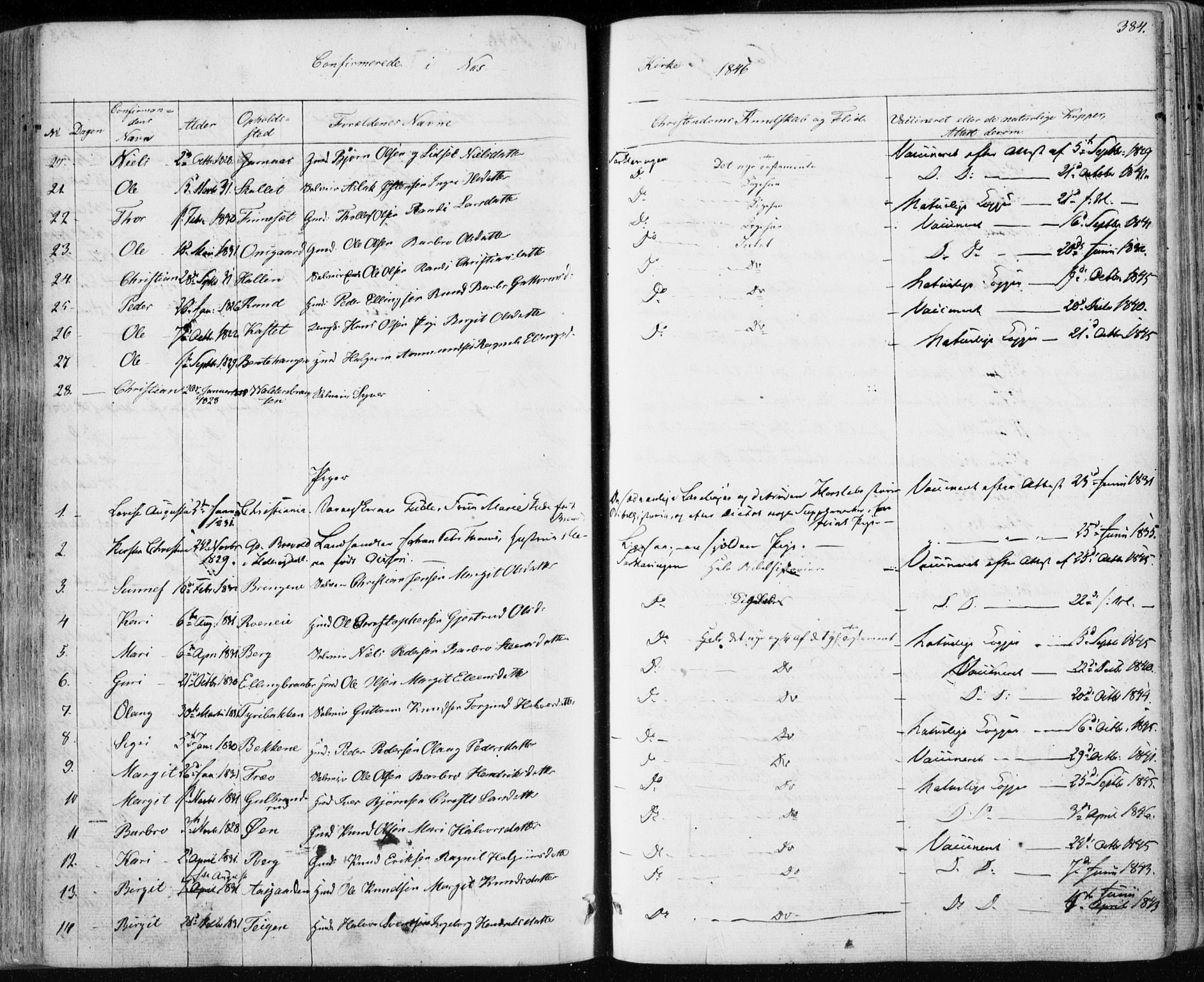 Nes kirkebøker, SAKO/A-236/F/Fa/L0009: Parish register (official) no. 9, 1834-1863, p. 384