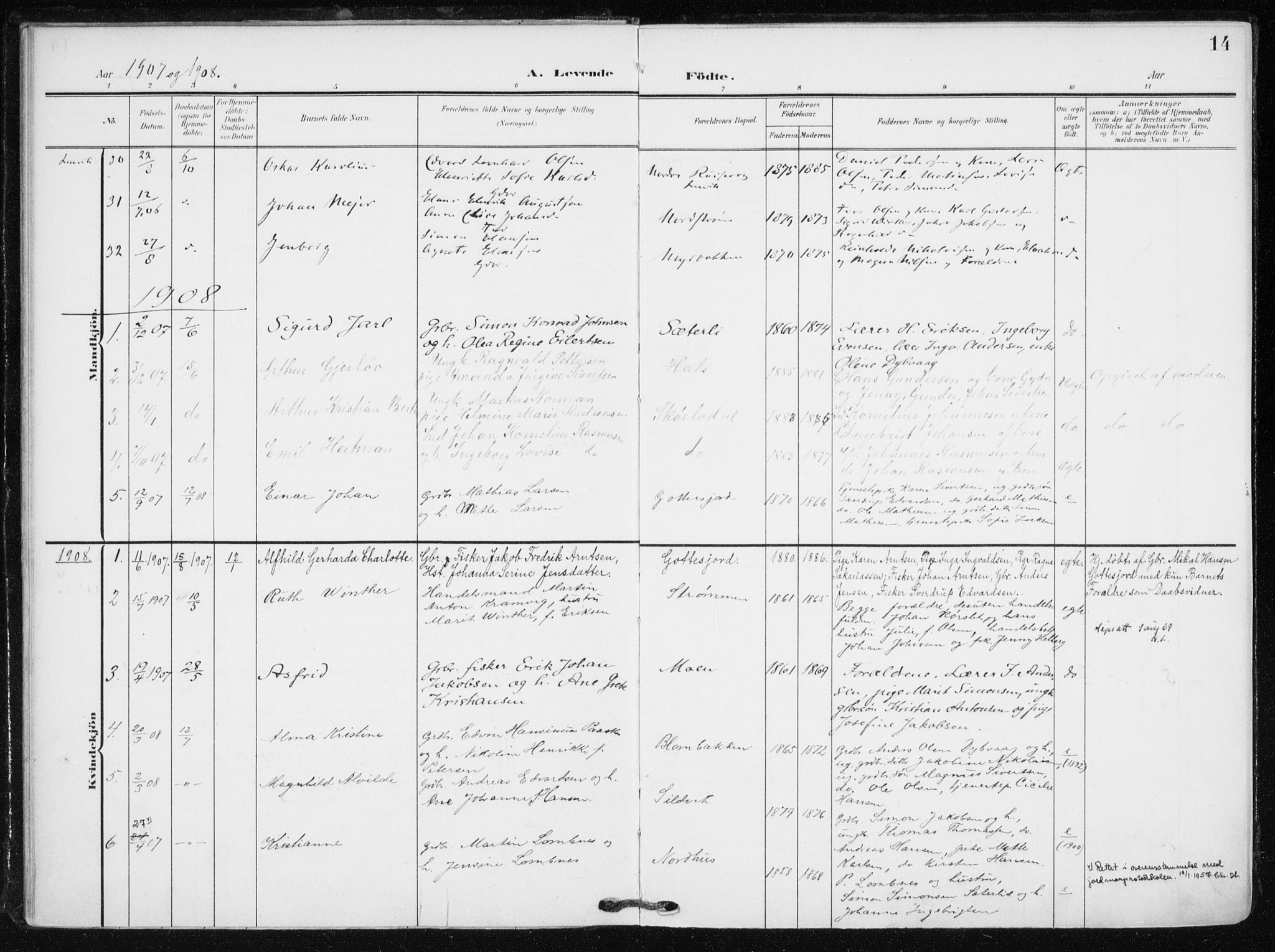 Tranøy sokneprestkontor, SATØ/S-1313/I/Ia/Iaa/L0012kirke: Parish register (official) no. 12, 1905-1918, p. 14