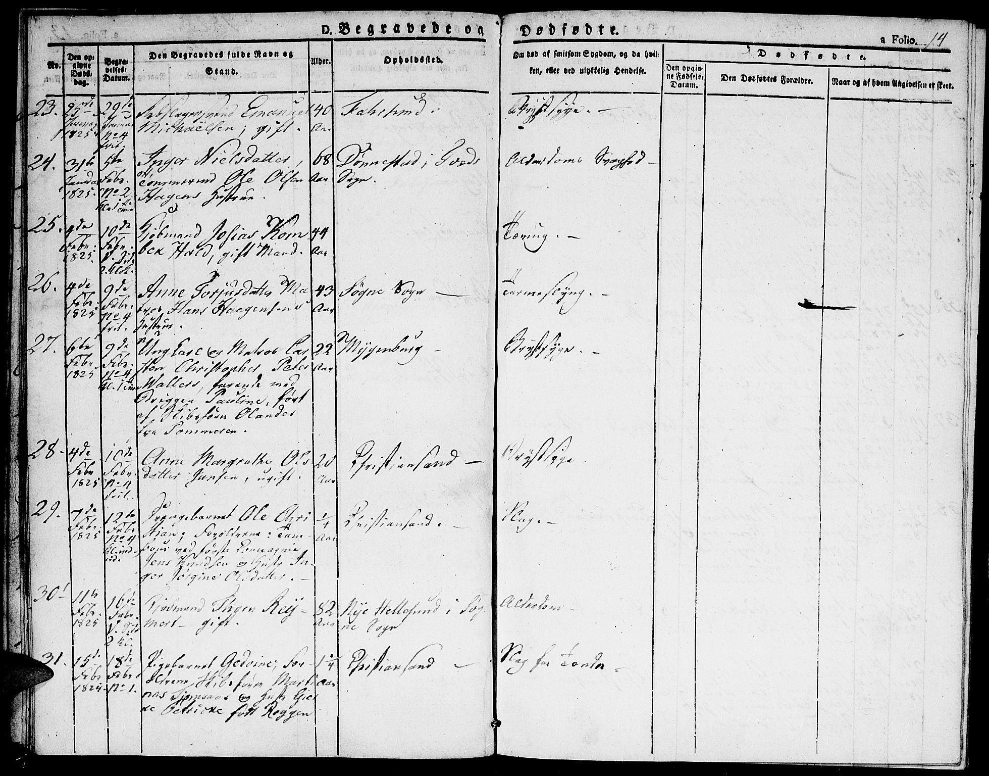 Kristiansand domprosti, AV/SAK-1112-0006/F/Fa/L0010: Parish register (official) no. A 10, 1824-1827, p. 14