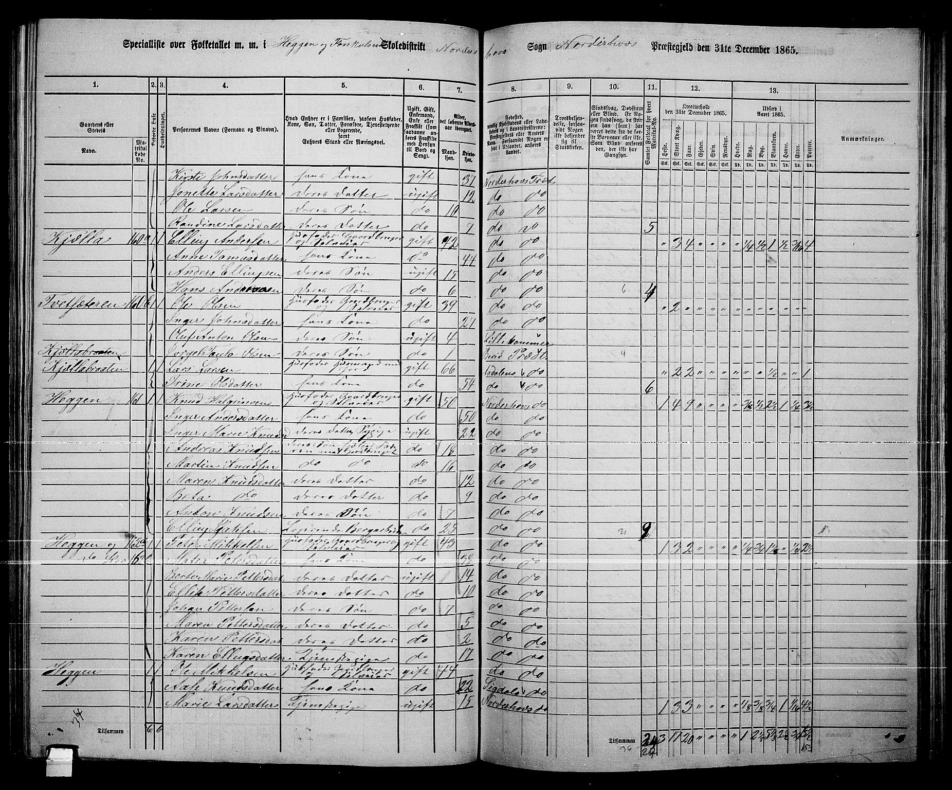 RA, 1865 census for Norderhov/Norderhov, Haug og Lunder, 1865, p. 189