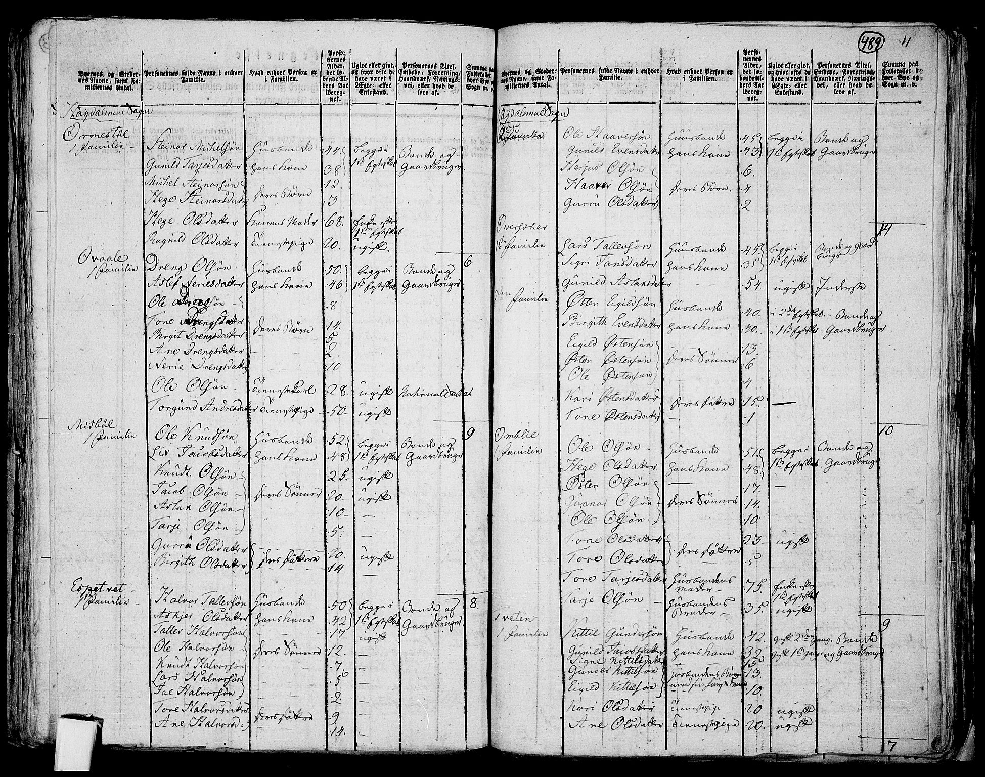 RA, 1801 census for 0833P Lårdal, 1801, p. 488b-489a