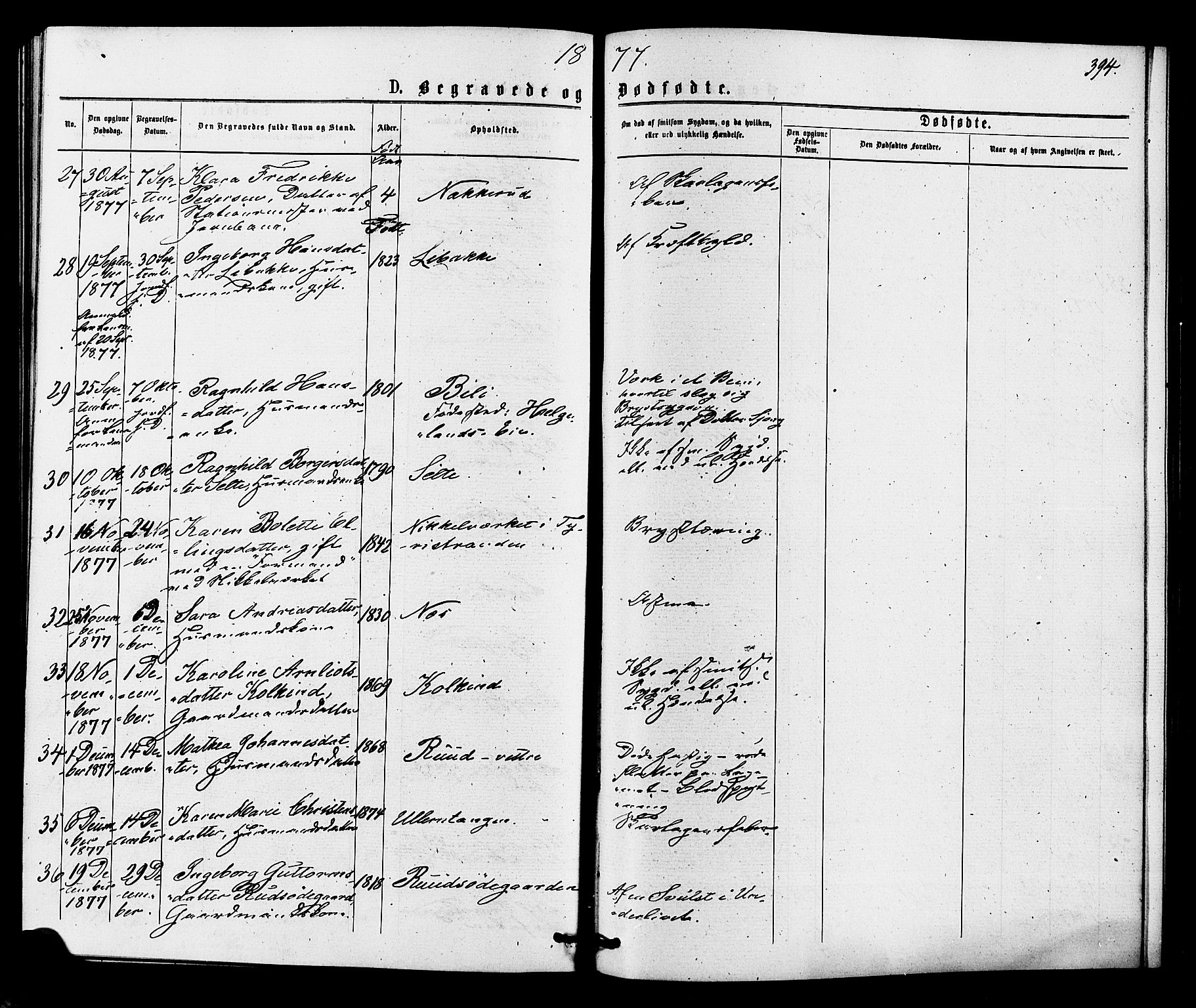 Hole kirkebøker, SAKO/A-228/F/Fa/L0007: Parish register (official) no. I 7, 1873-1877, p. 394