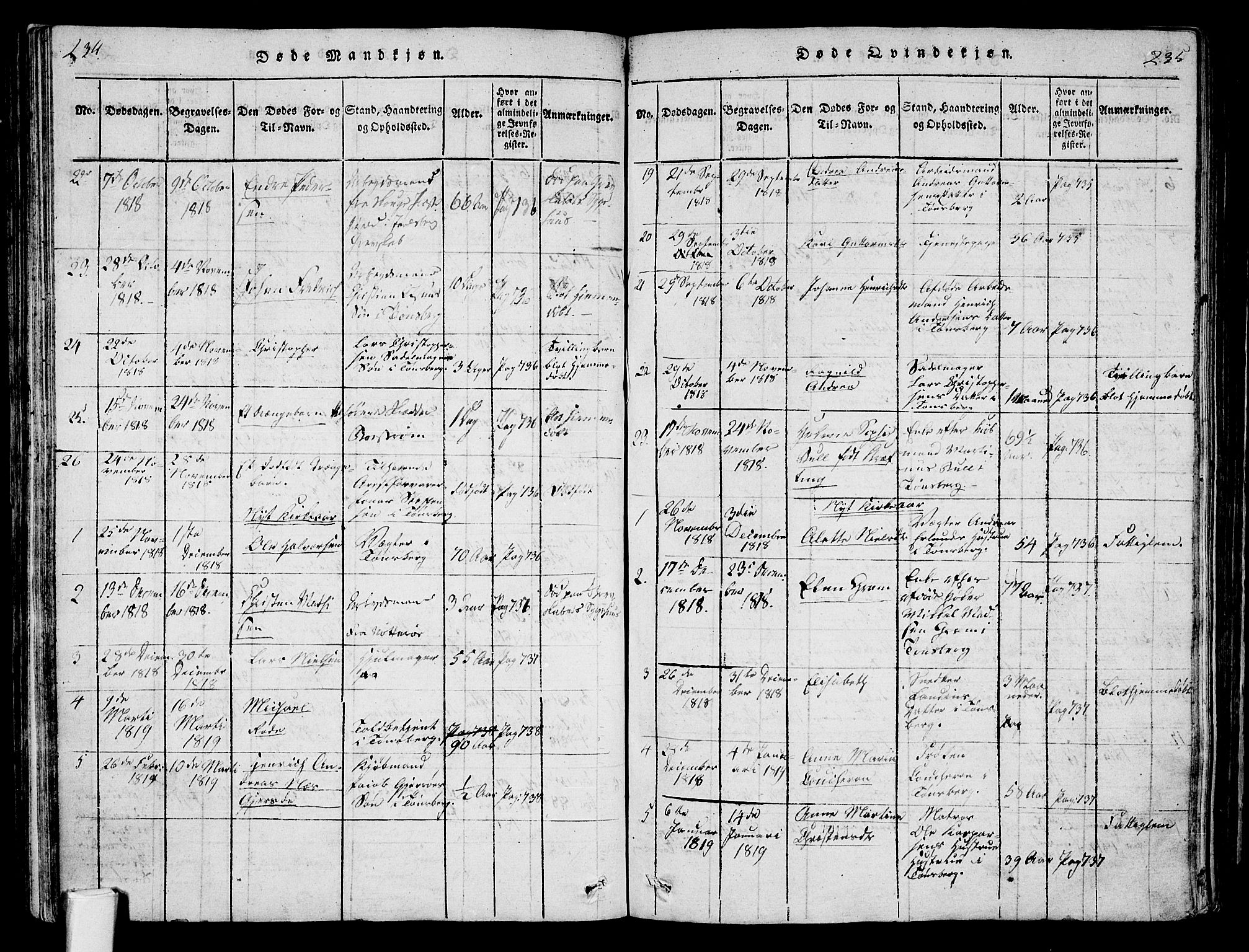 Tønsberg kirkebøker, AV/SAKO-A-330/F/Fa/L0004: Parish register (official) no. I 4, 1813-1826, p. 234-235