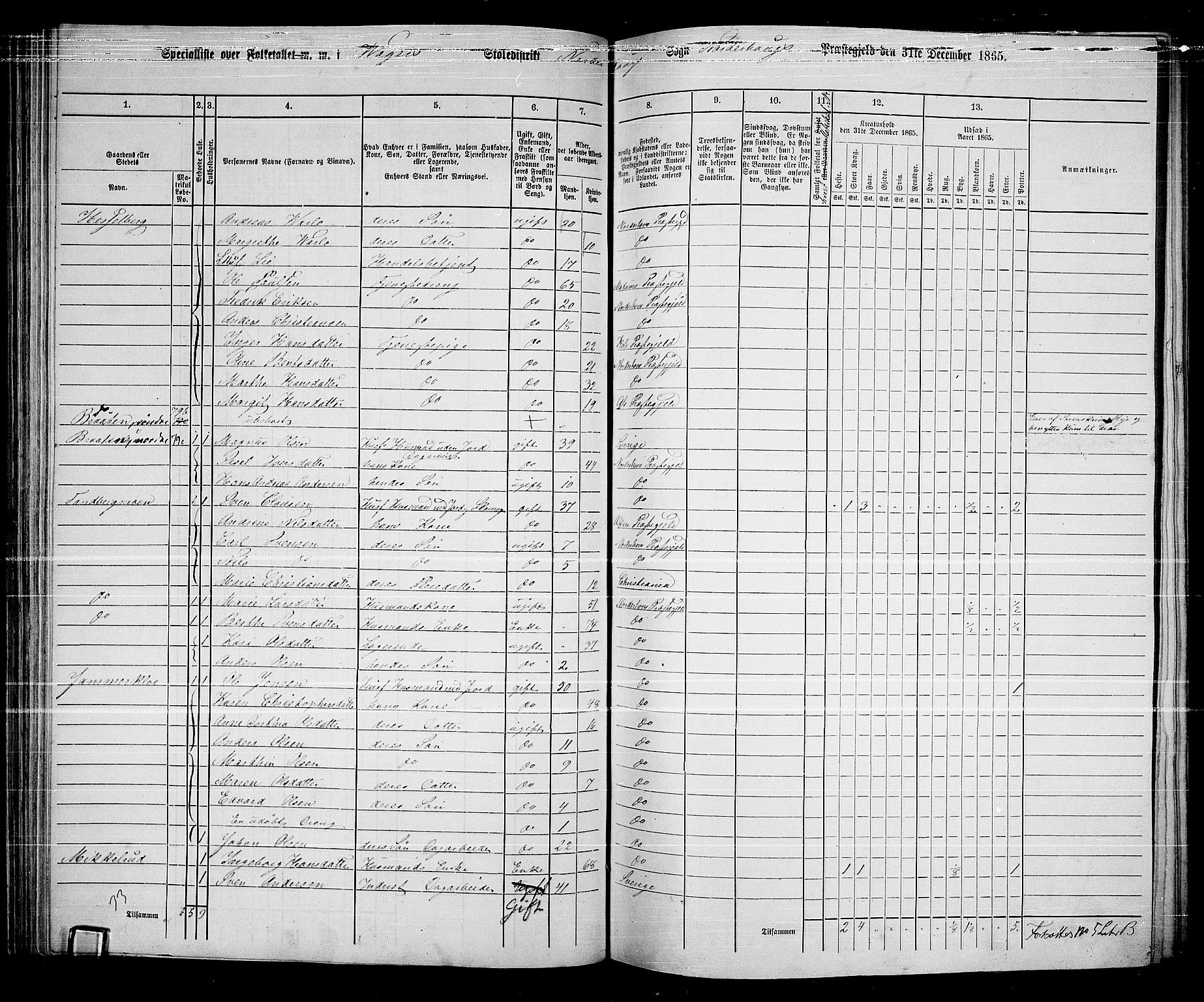 RA, 1865 census for Norderhov/Norderhov, Haug og Lunder, 1865, p. 104