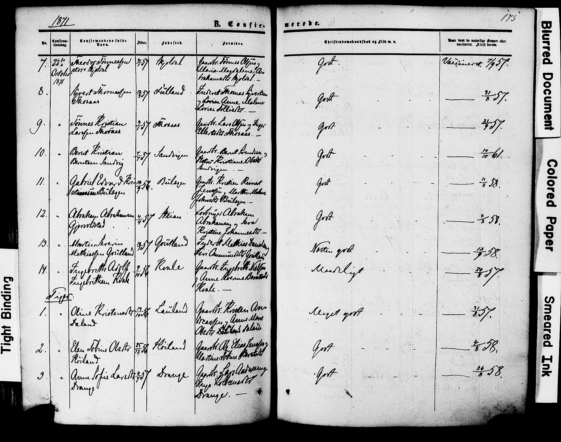 Herad sokneprestkontor, AV/SAK-1111-0018/F/Fa/Faa/L0005: Parish register (official) no. A 5, 1853-1886, p. 175