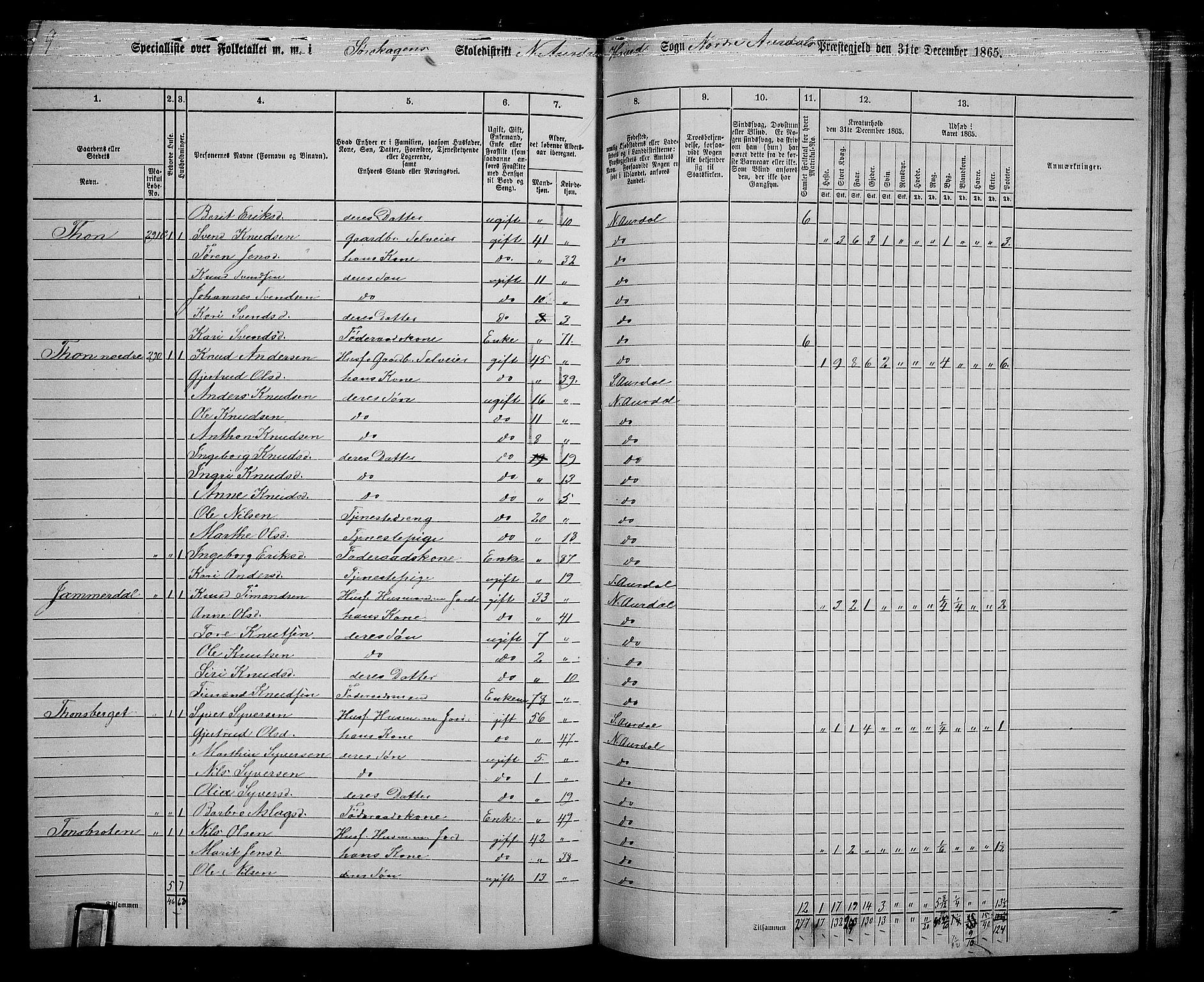 RA, 1865 census for Nord-Aurdal, 1865, p. 203