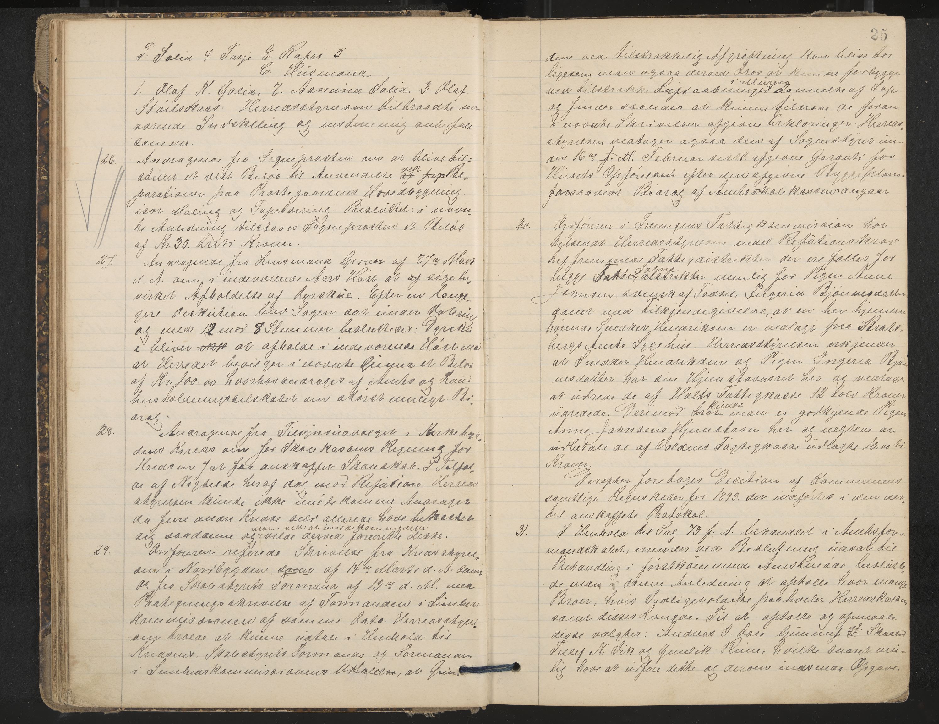 Nissedal formannskap og sentraladministrasjon, IKAK/0830021-1/A/L0003: Møtebok, 1892-1904, p. 25