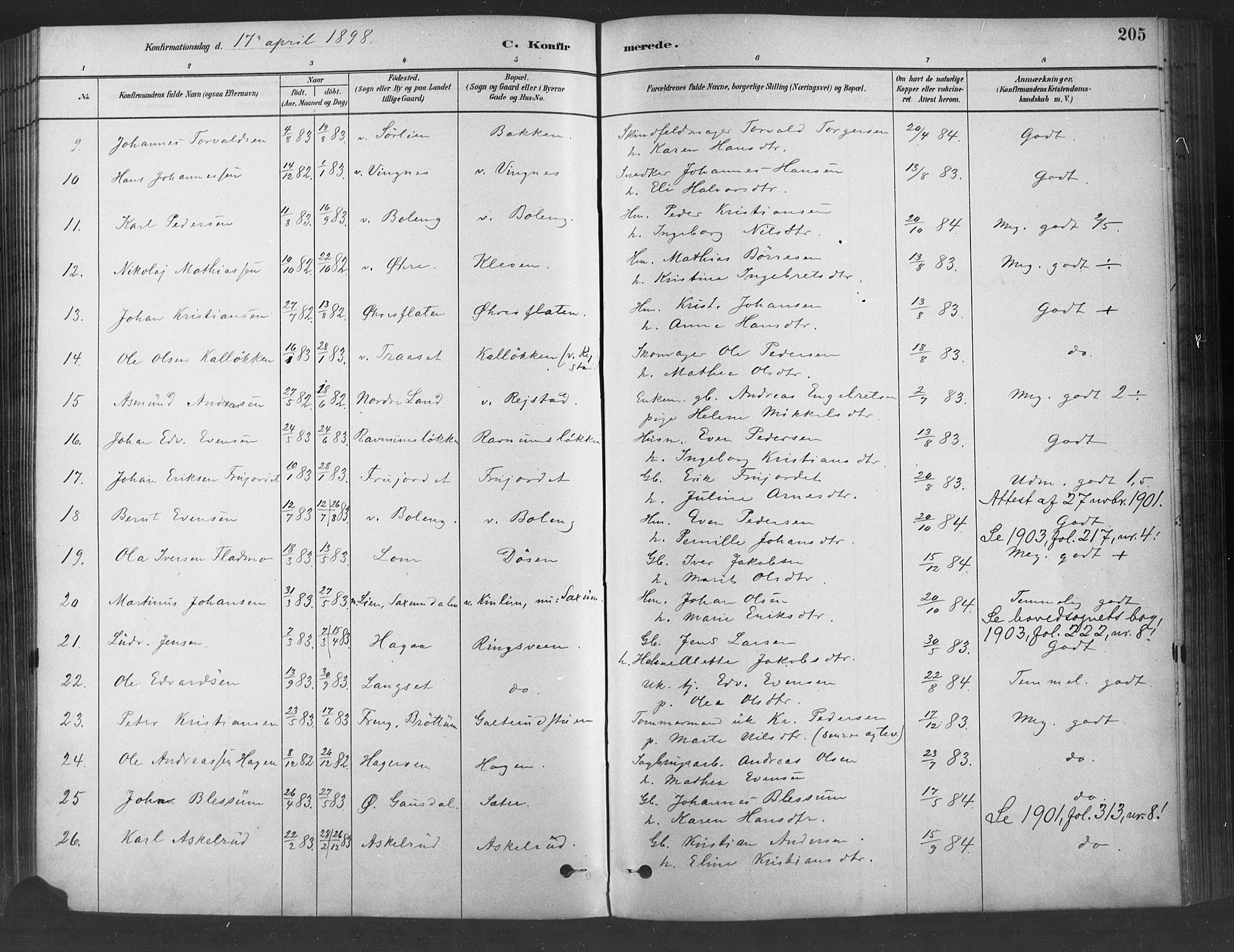 Fåberg prestekontor, SAH/PREST-086/H/Ha/Haa/L0009: Parish register (official) no. 9, 1879-1898, p. 205