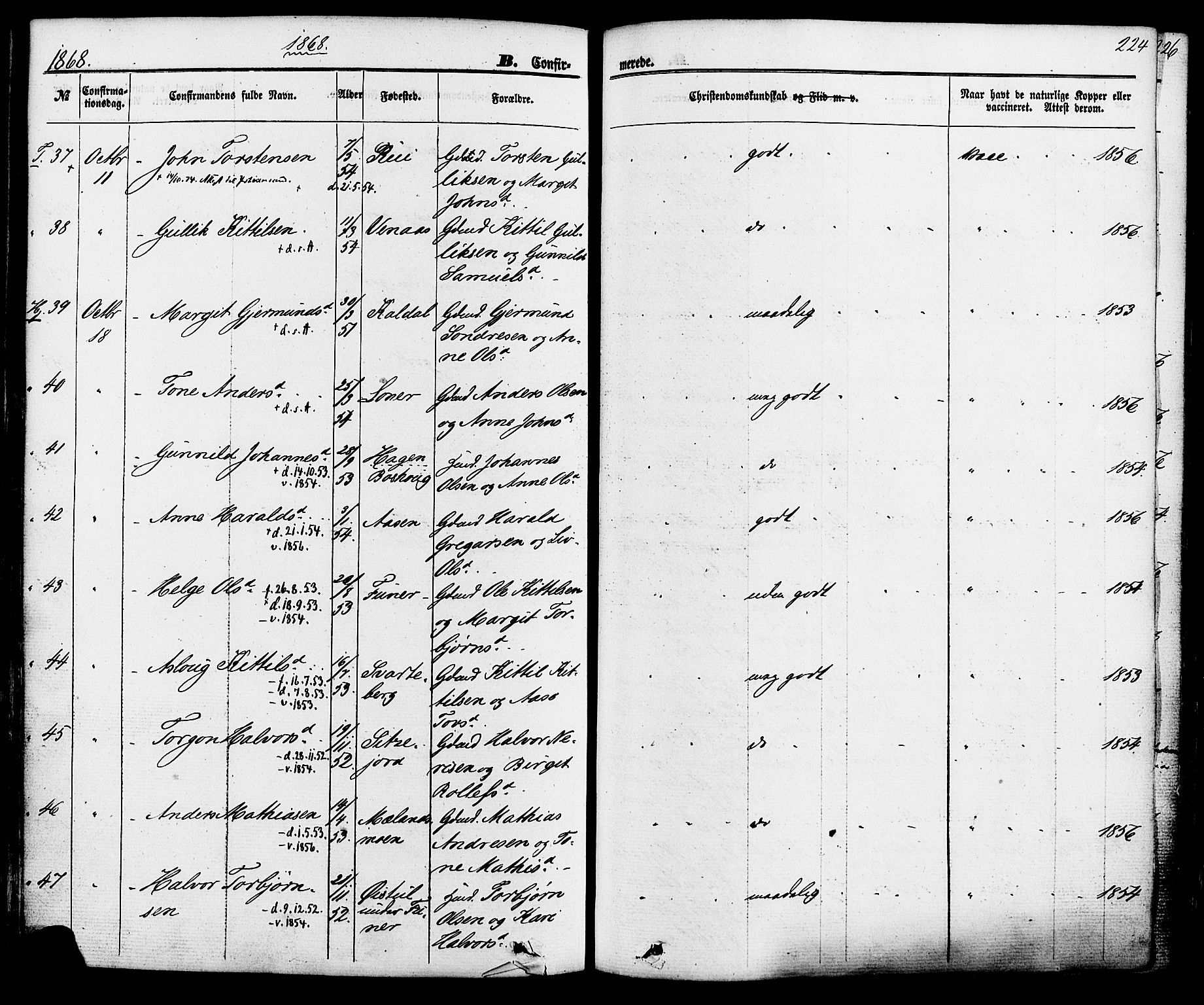 Hjartdal kirkebøker, AV/SAKO-A-270/F/Fa/L0009: Parish register (official) no. I 9, 1860-1879, p. 224