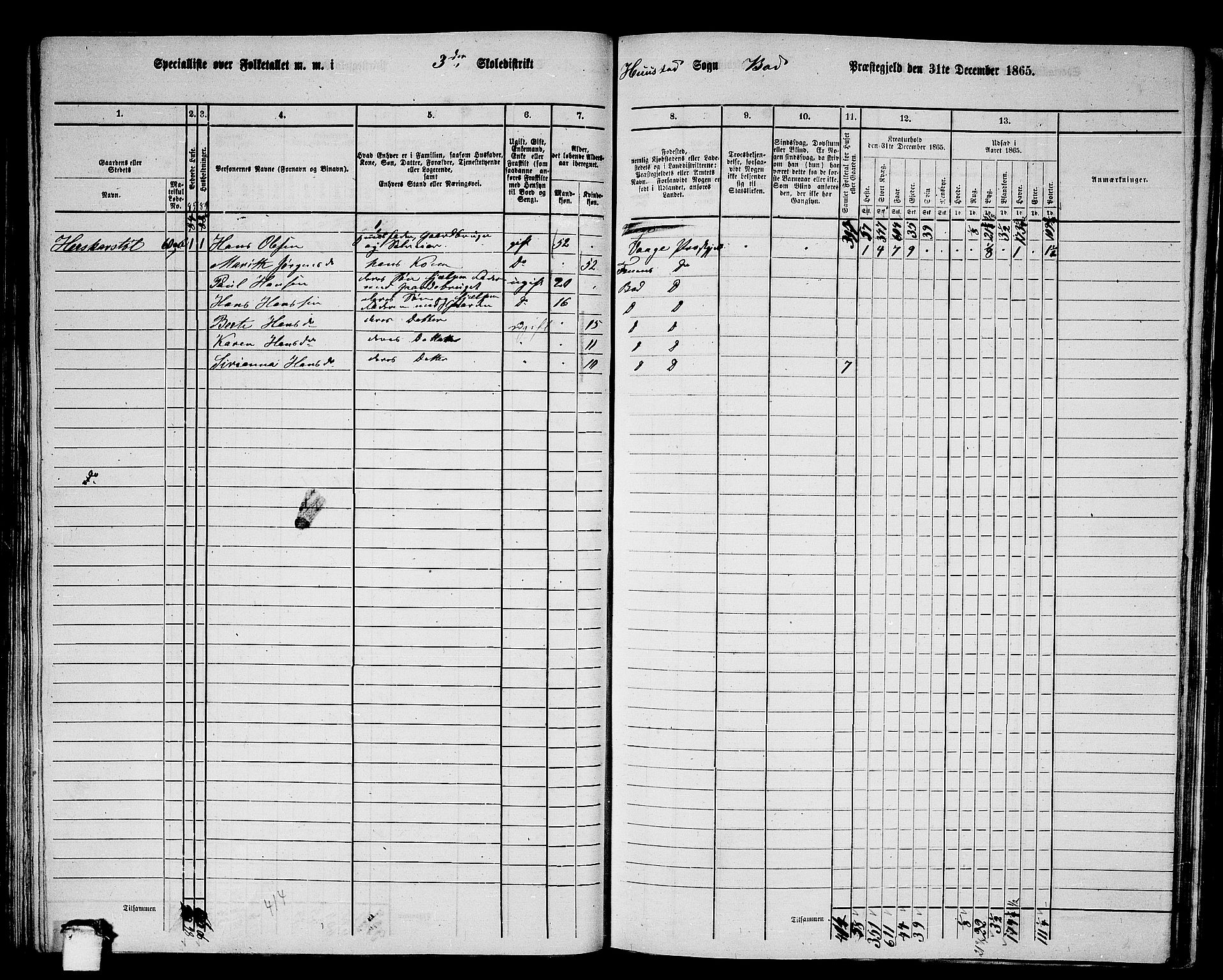 RA, 1865 census for Bud, 1865, p. 48