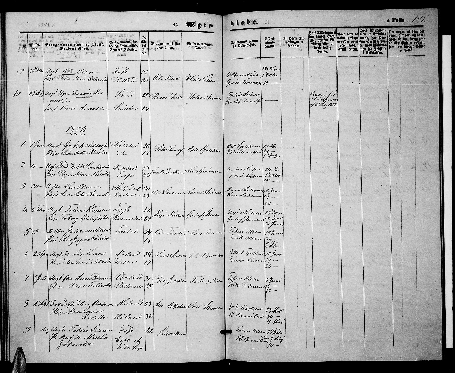 Sør-Audnedal sokneprestkontor, AV/SAK-1111-0039/F/Fb/Fbb/L0004: Parish register (copy) no. B 4, 1868-1879, p. 141