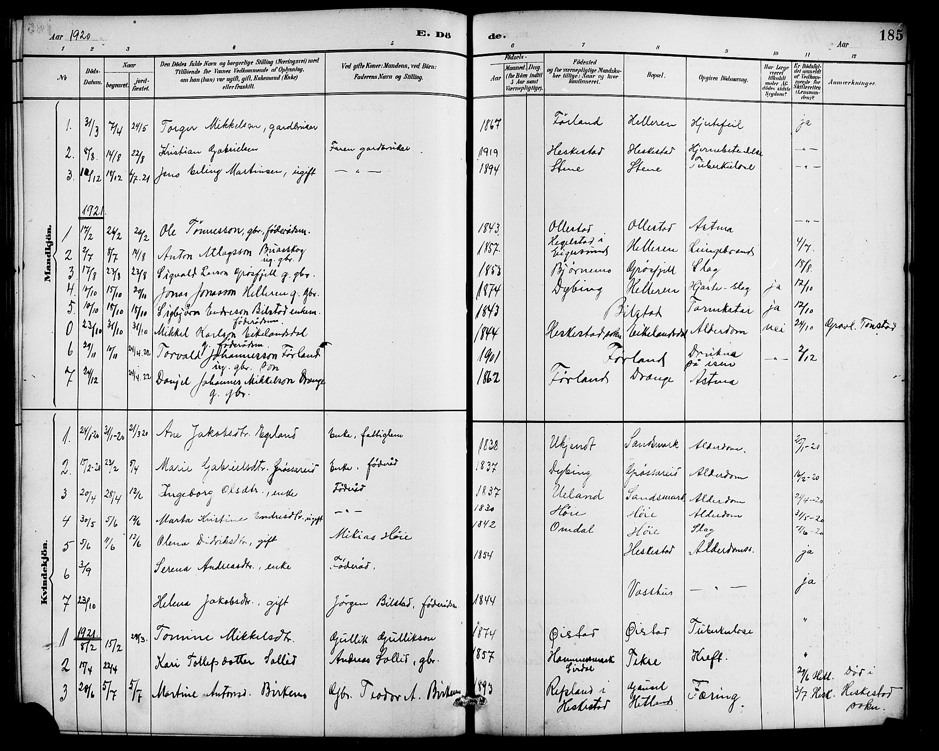 Lund sokneprestkontor, AV/SAST-A-101809/S07/L0007: Parish register (copy) no. B 7, 1890-1925, p. 185