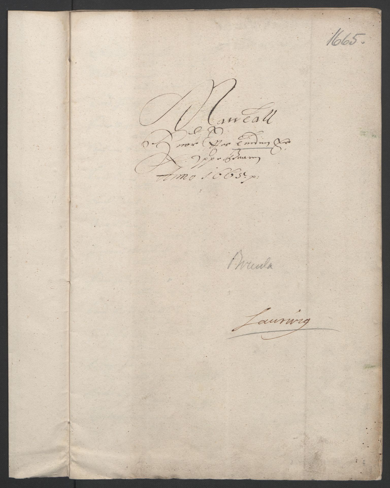 Rentekammeret inntil 1814, Reviderte regnskaper, Fogderegnskap, RA/EA-4092/R33/L1964: Fogderegnskap Larvik grevskap, 1665-1668, p. 20