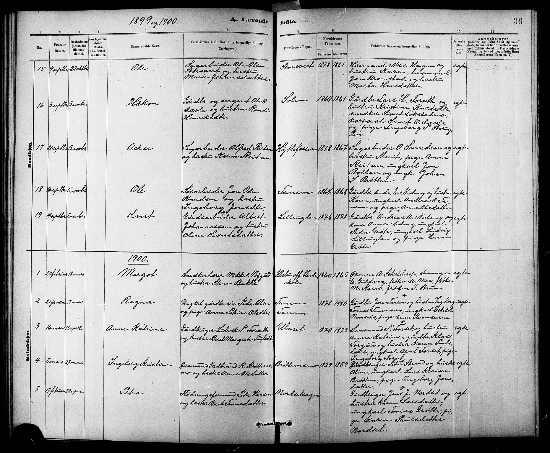 Ministerialprotokoller, klokkerbøker og fødselsregistre - Sør-Trøndelag, SAT/A-1456/618/L0452: Parish register (copy) no. 618C03, 1884-1906, p. 36