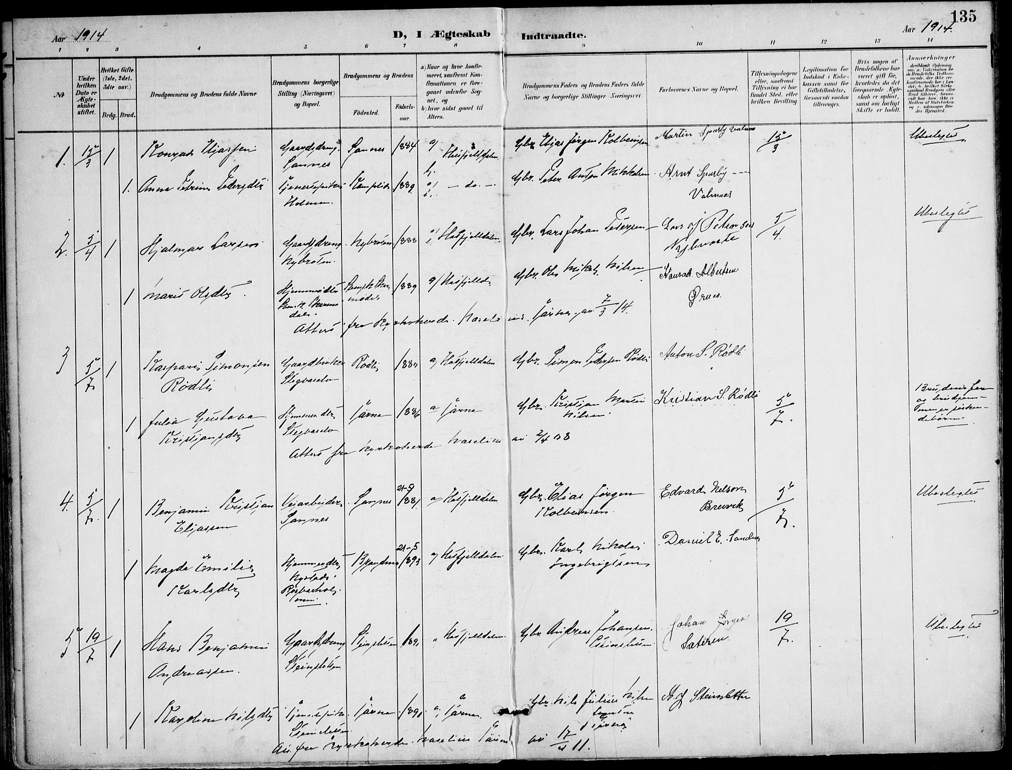 Ministerialprotokoller, klokkerbøker og fødselsregistre - Nordland, AV/SAT-A-1459/823/L0326: Parish register (official) no. 823A03, 1899-1919, p. 135