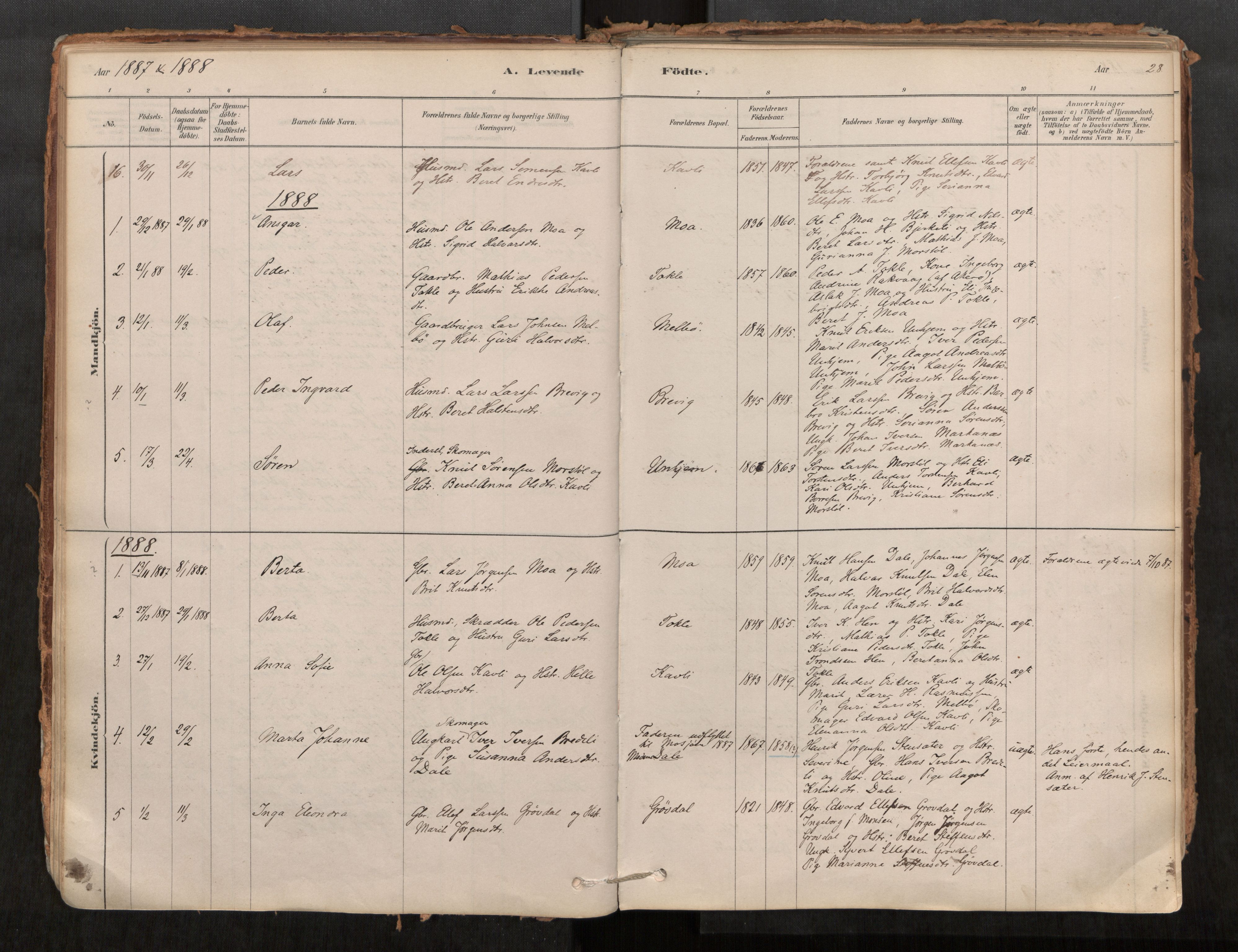 Ministerialprotokoller, klokkerbøker og fødselsregistre - Møre og Romsdal, AV/SAT-A-1454/545/L0594: Parish register (official) no. 545A03, 1878-1920, p. 28
