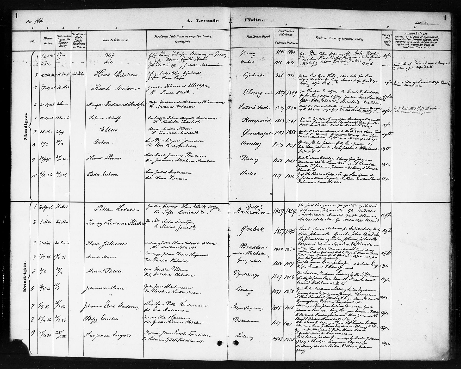 Skjeberg prestekontor Kirkebøker, AV/SAO-A-10923/F/Fb/L0001: Parish register (official) no. II 1, 1886-1894, p. 1