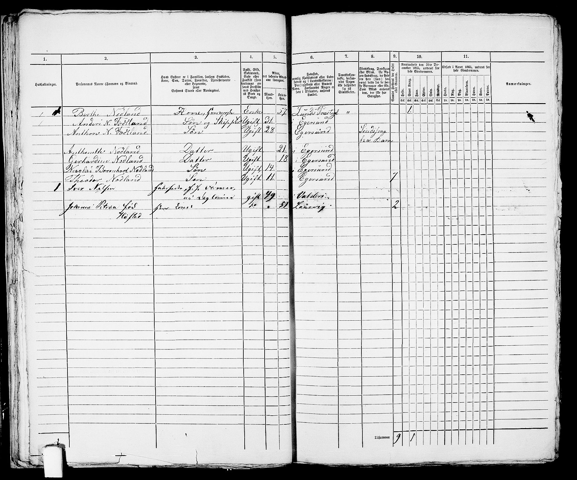 RA, 1865 census for Eigersund parish, Egersund town, 1865, p. 33