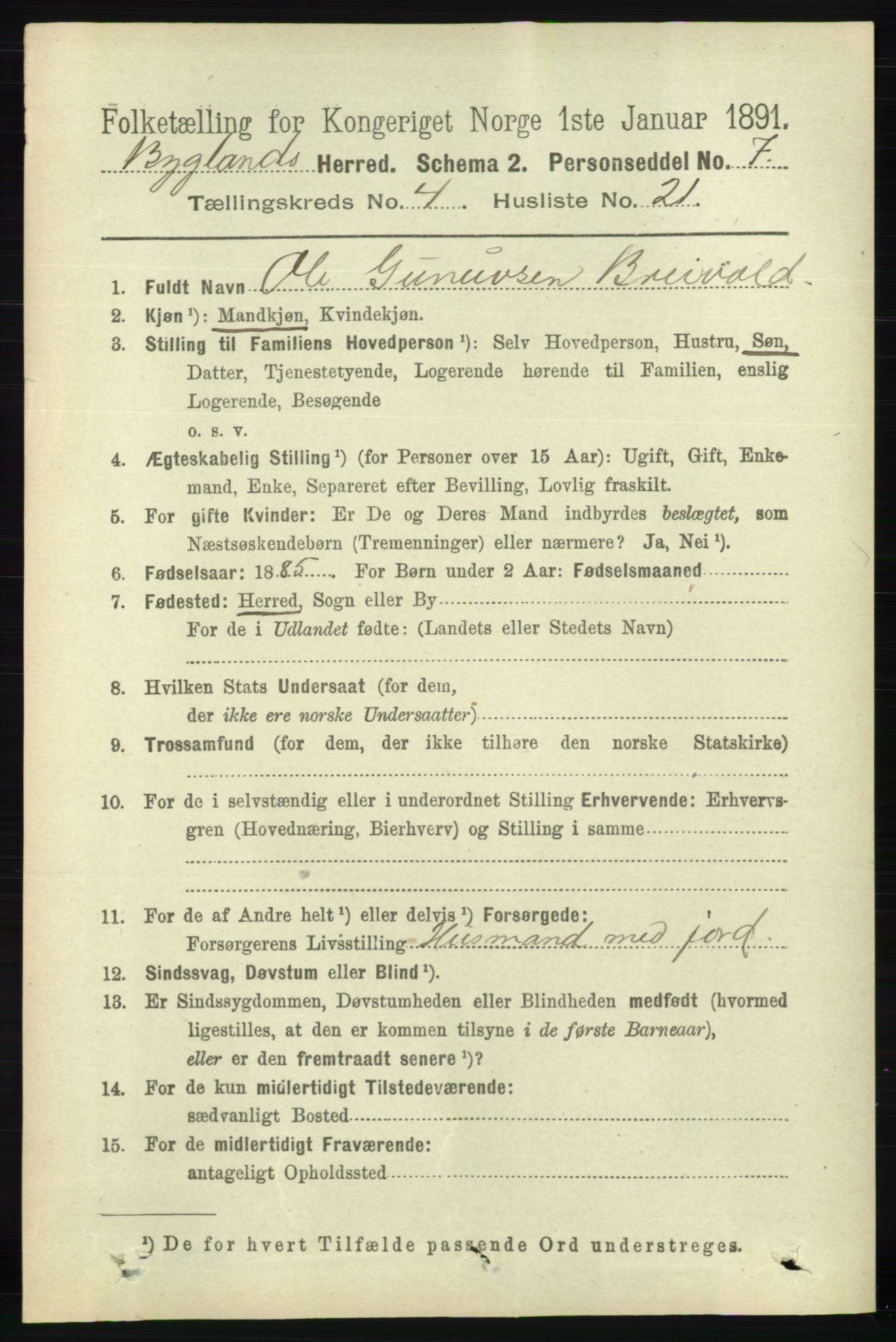 RA, 1891 census for 0938 Bygland, 1891, p. 995