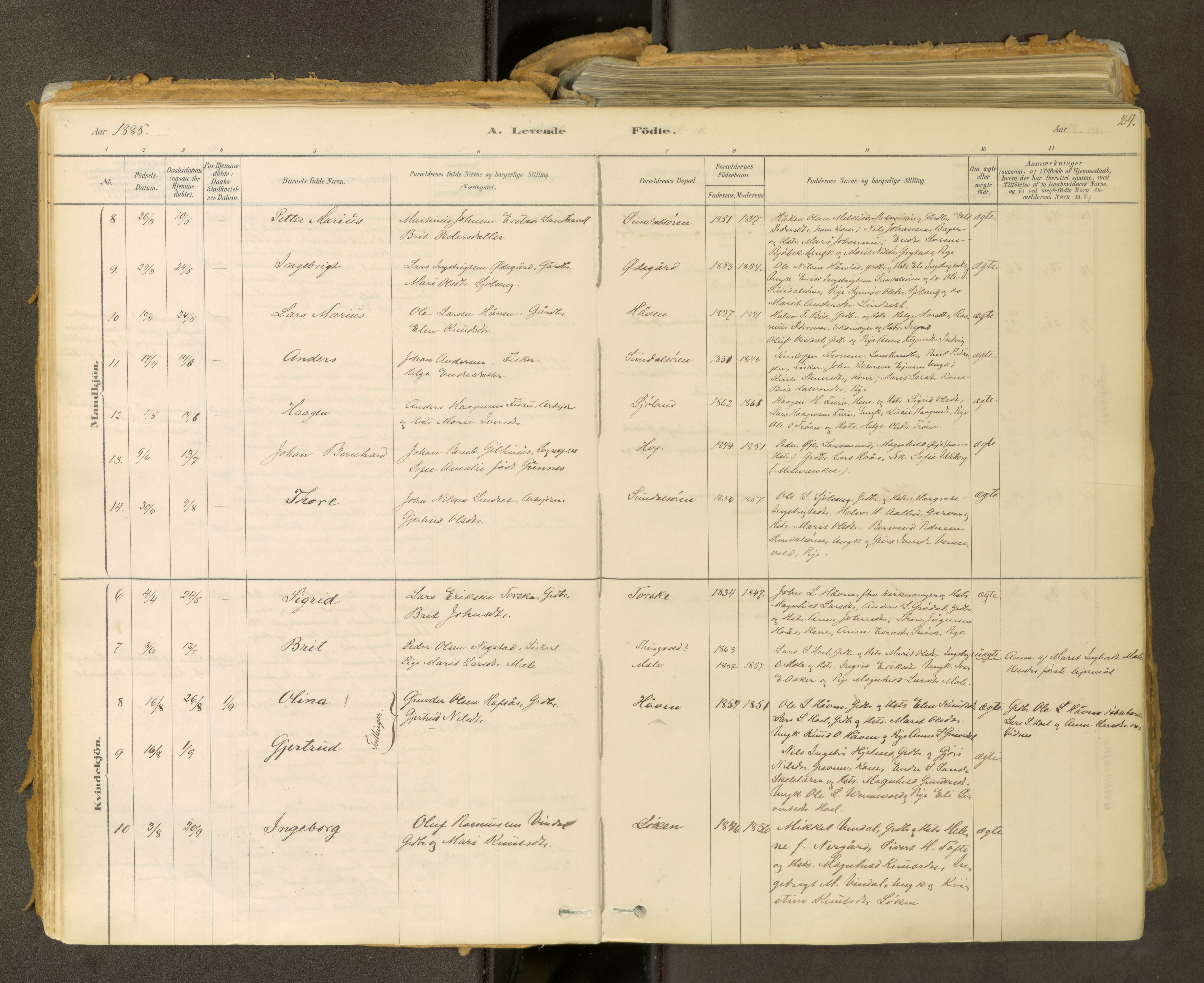 Sunndal sokneprestkontor, AV/SAT-A-1085/1/I/I1/I1a: Parish register (official) no. 2, 1877-1914, p. 29