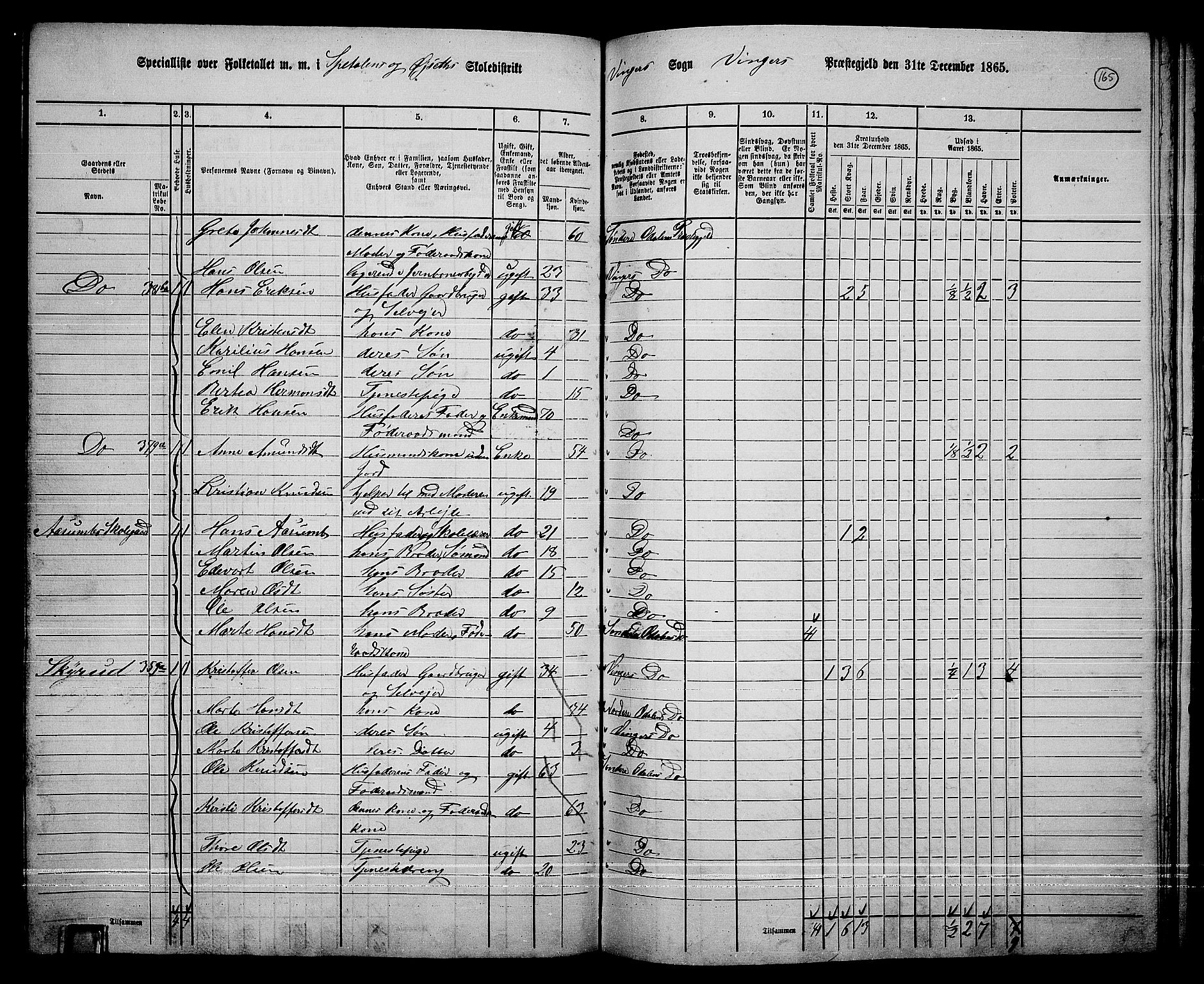 RA, 1865 census for Vinger/Vinger og Austmarka, 1865, p. 150