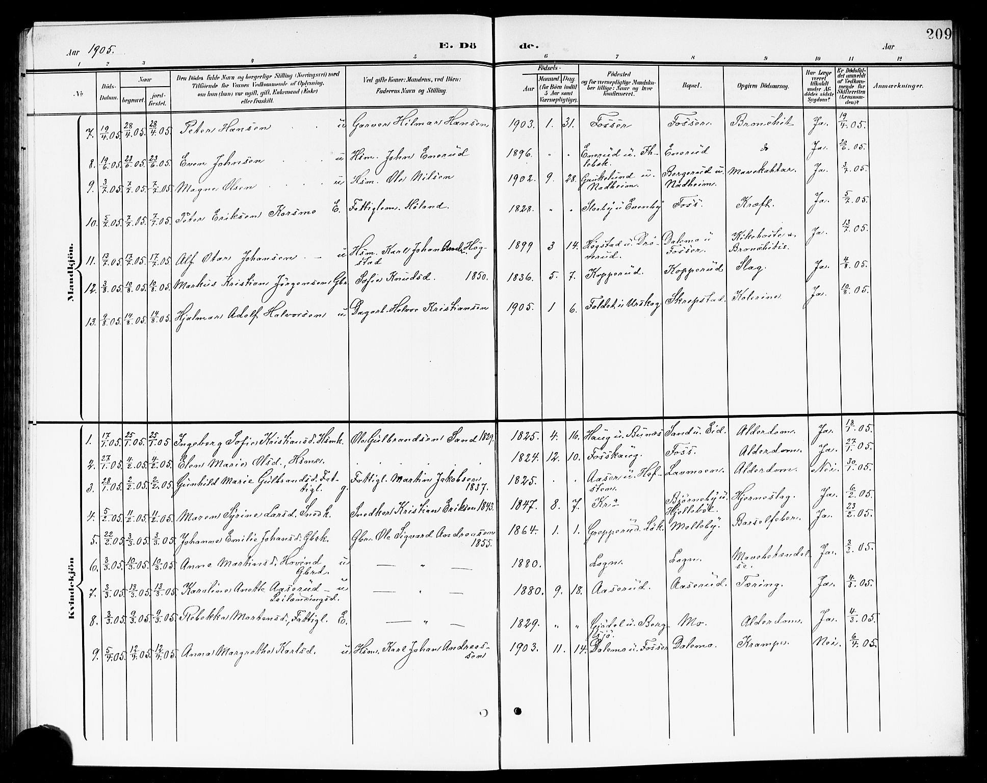Høland prestekontor Kirkebøker, SAO/A-10346a/G/Ga/L0007: Parish register (copy) no. I 7, 1902-1914, p. 209
