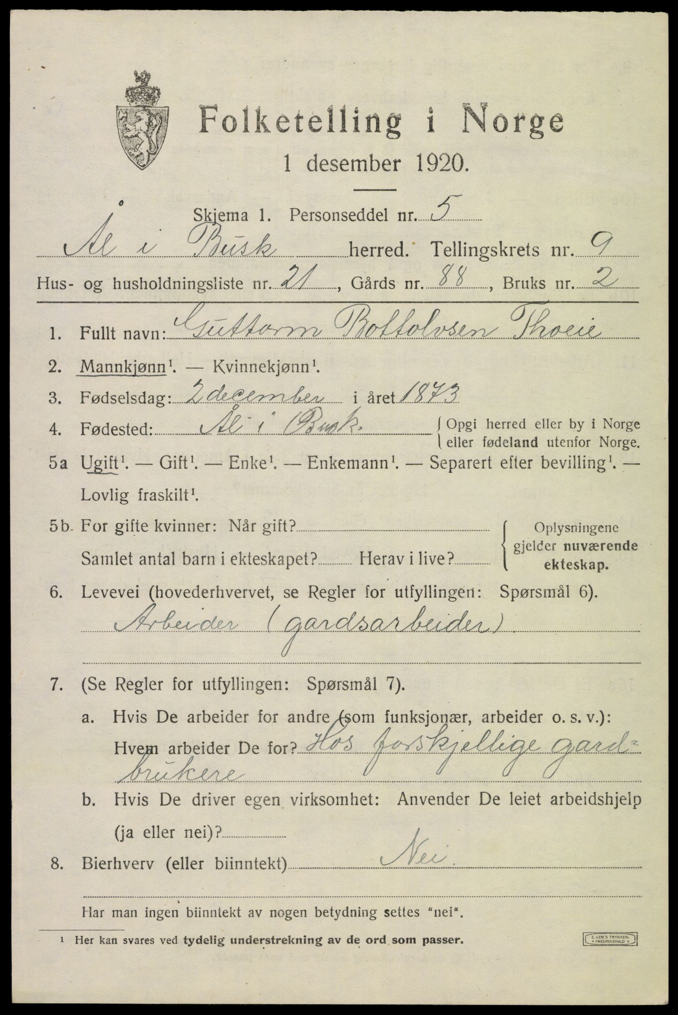 SAKO, 1920 census for Ål, 1920, p. 5944