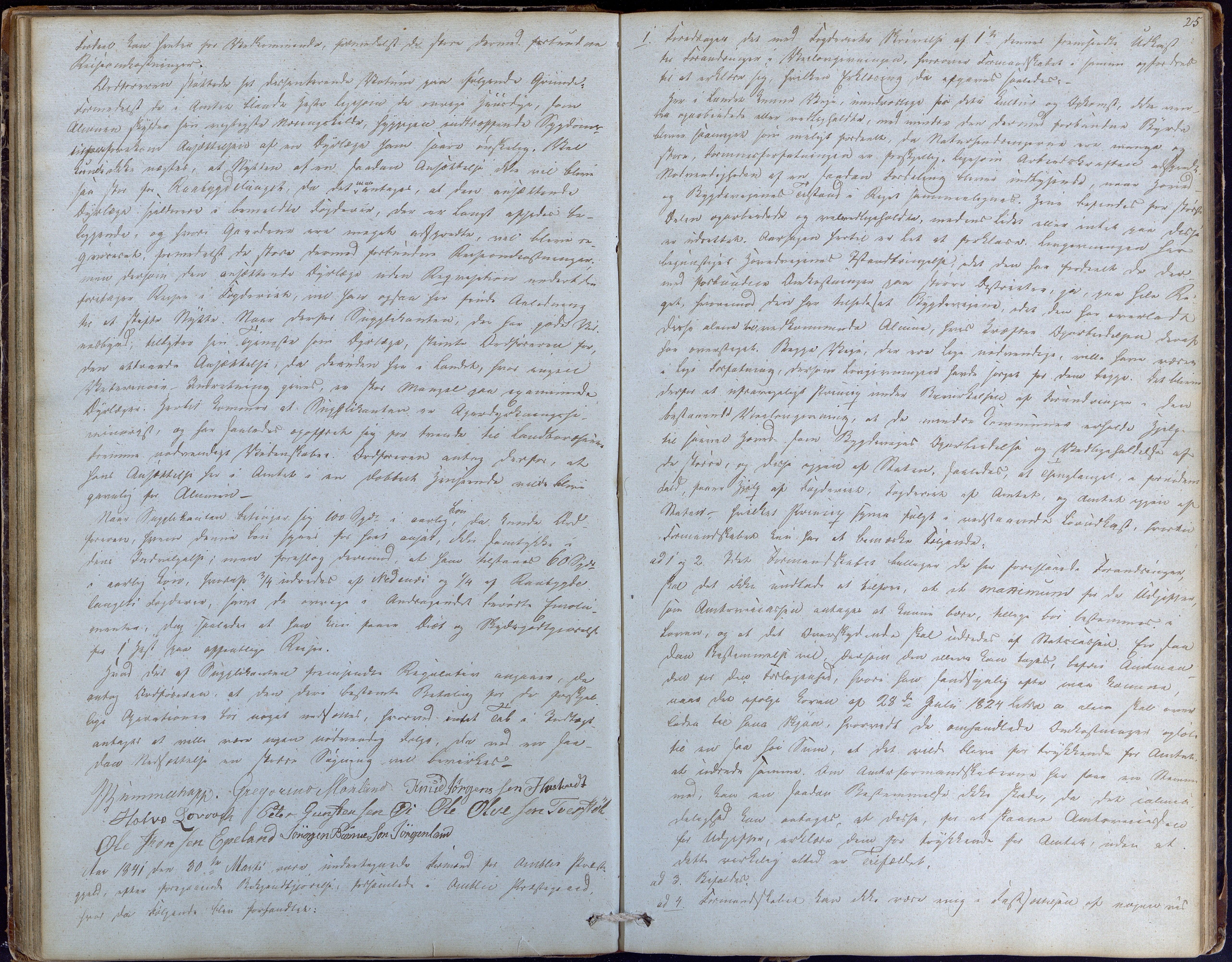 Åmli kommune før 1985, AAKS/KA0929-PK/01/01a/L0001: Møtebok, 1837-1854, p. 25