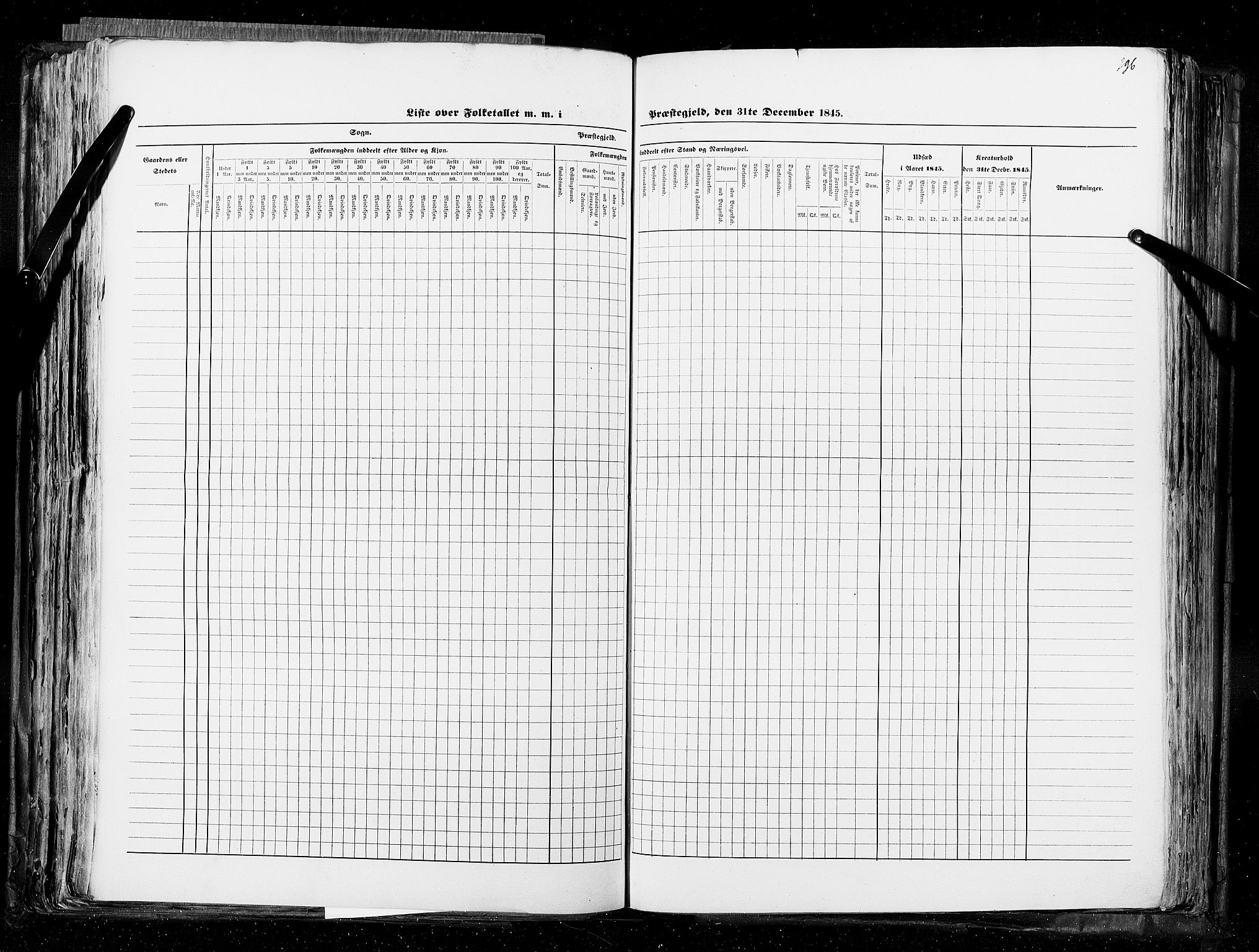 RA, Census 1845, vol. 5: Bratsberg amt og Nedenes og Råbyggelaget amt, 1845, p. 196