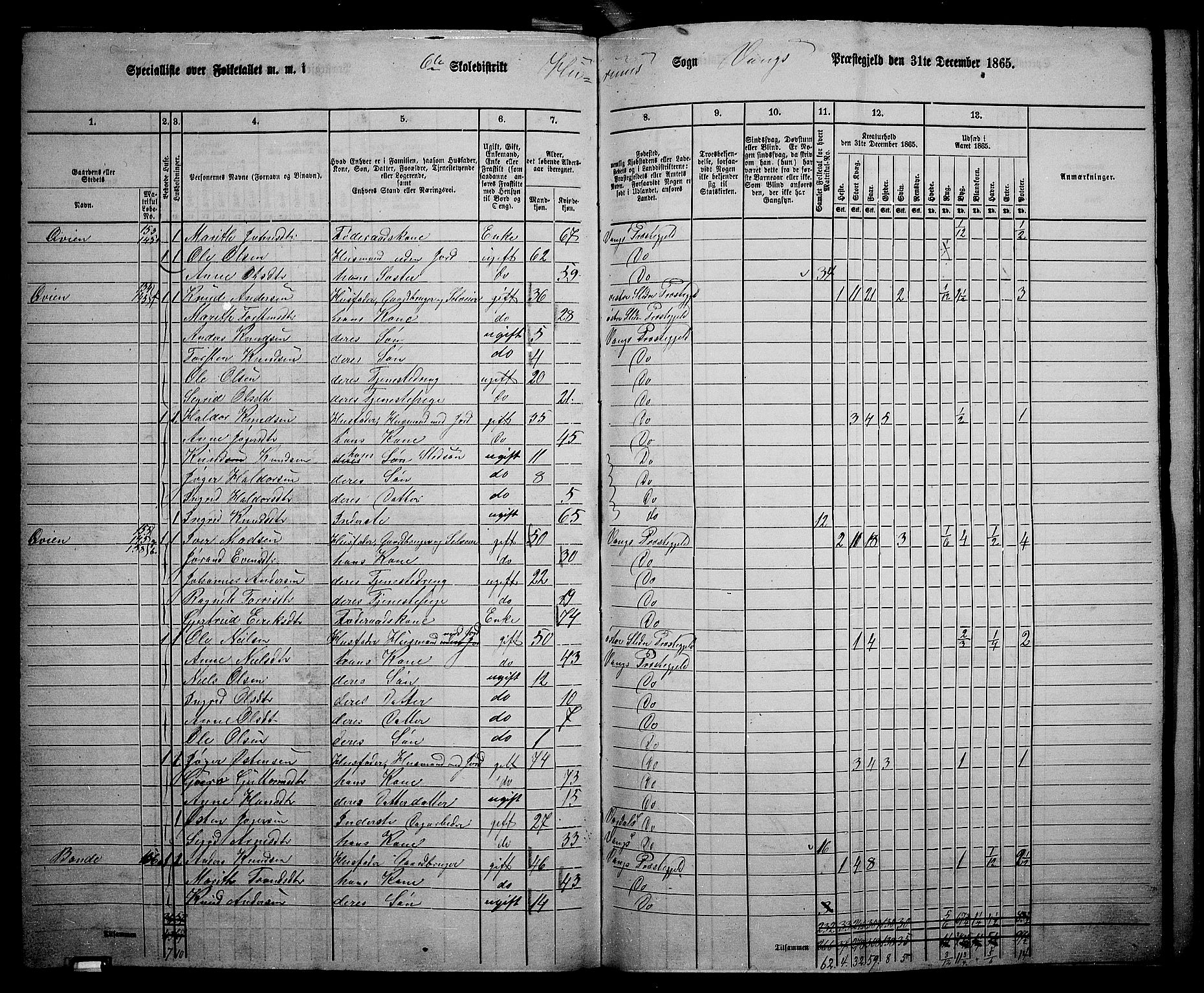 RA, 1865 census for Vang, 1865, p. 105