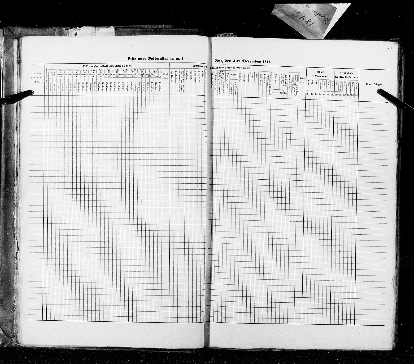 RA, Census 1845, vol. 10: Cities, 1845, p. 10