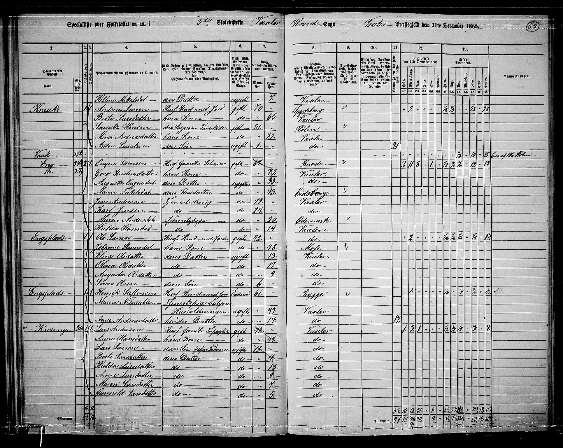 RA, 1865 census for Våler, 1865, p. 53