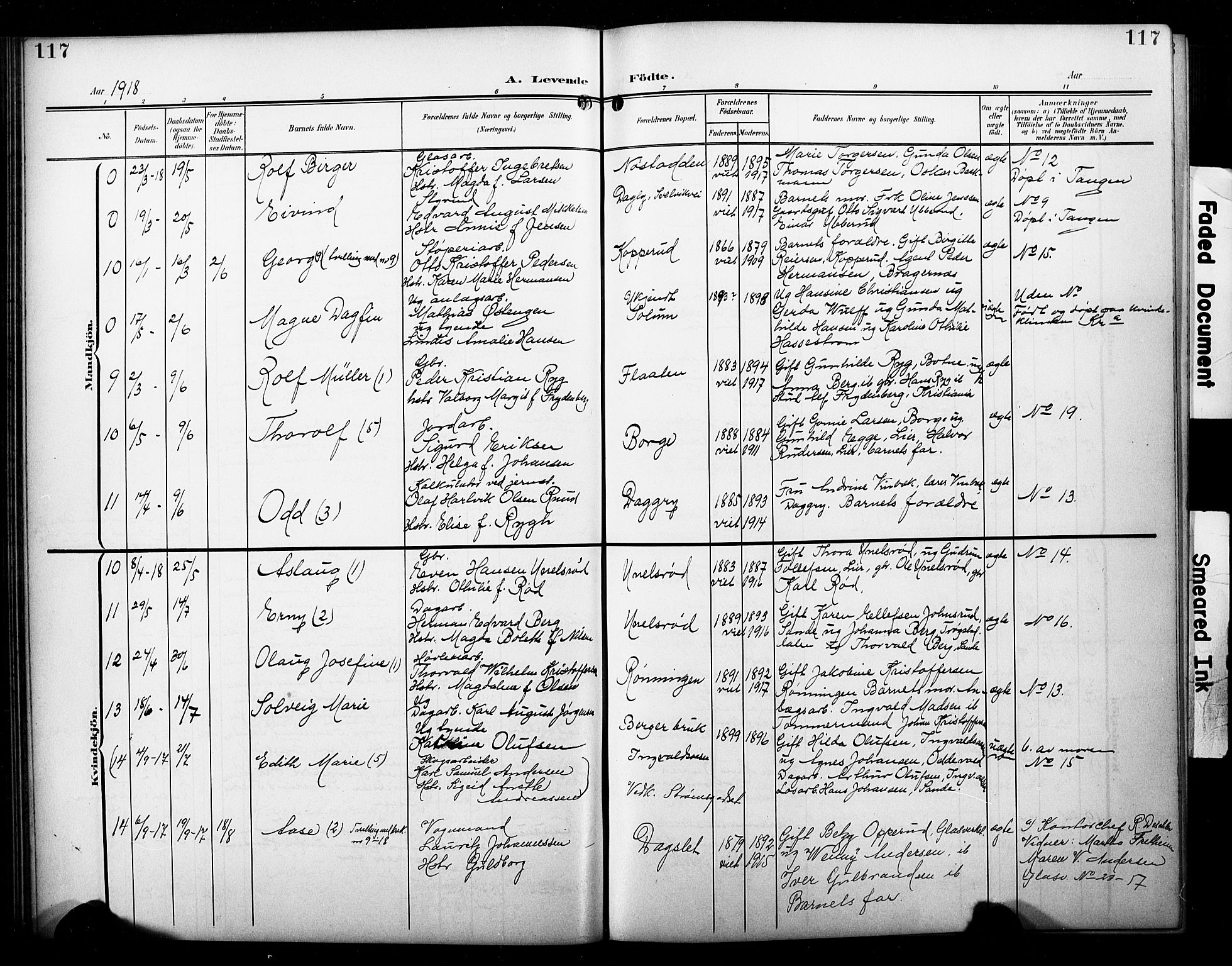 Skoger kirkebøker, AV/SAKO-A-59/G/Ga/L0003: Parish register (copy) no. I 3, 1900-1927, p. 117