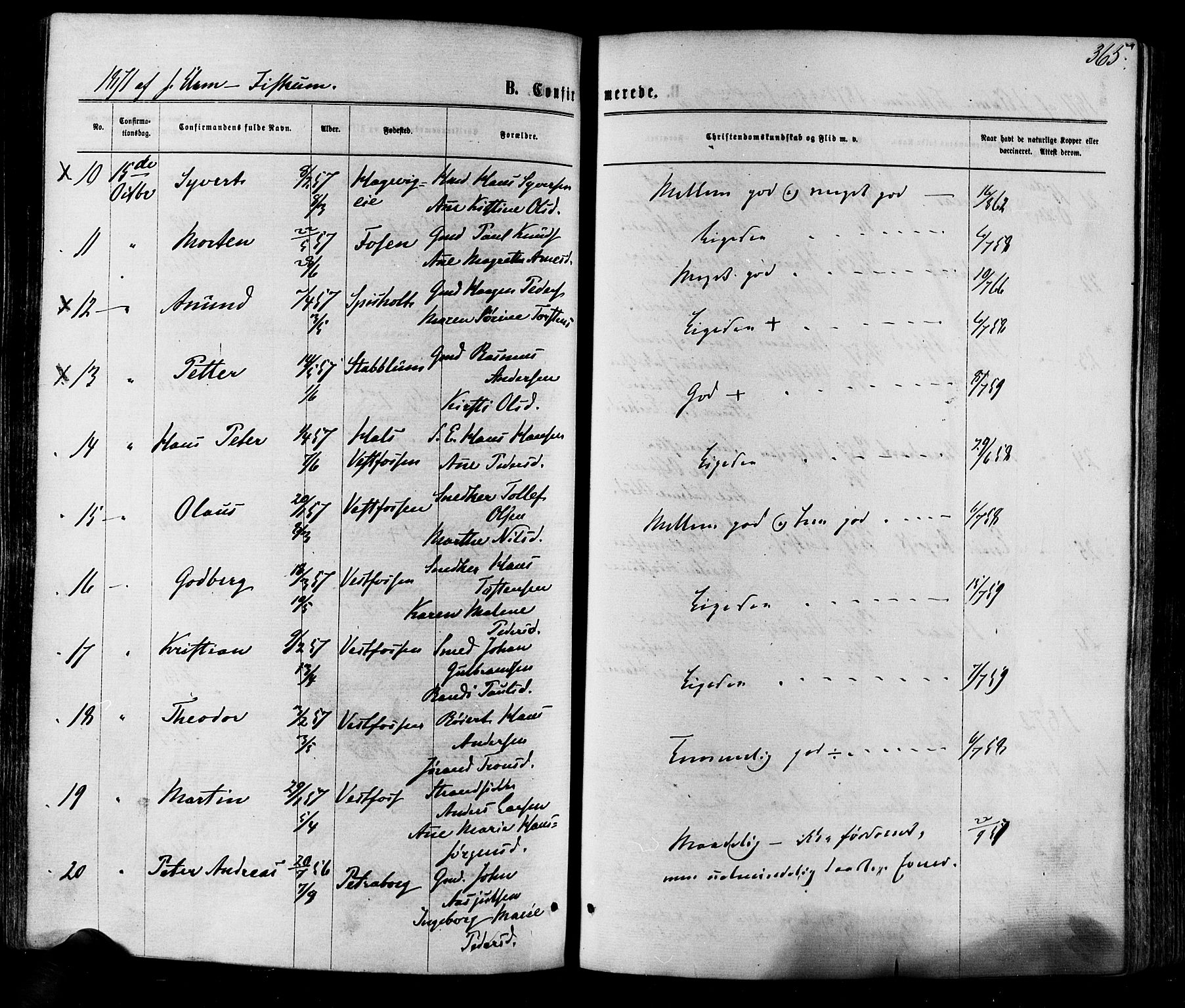 Eiker kirkebøker, SAKO/A-4/F/Fa/L0017: Parish register (official) no. I 17, 1869-1877, p. 365